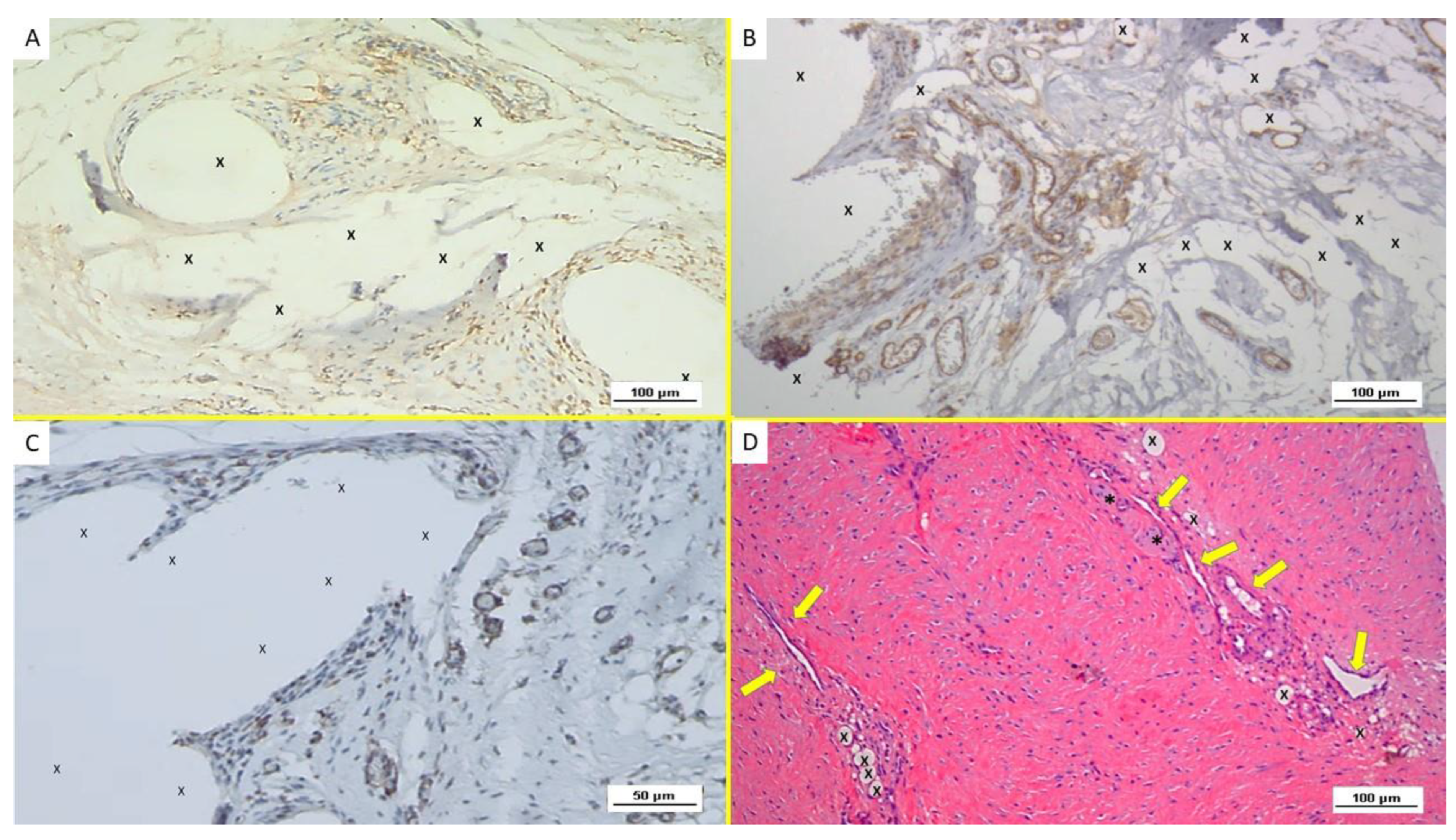 Biology 12 00434 g002