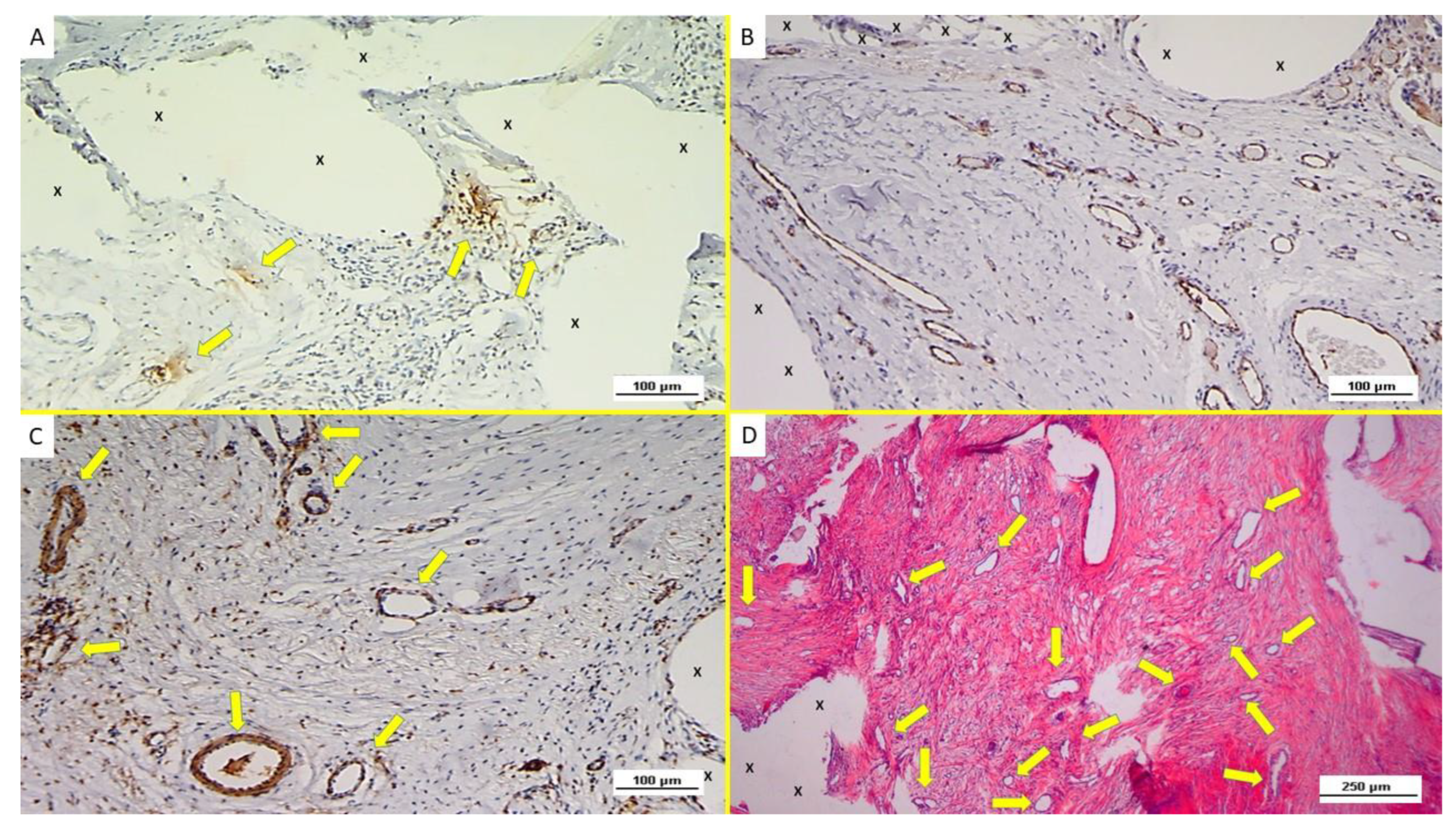 Biology 12 00434 g003