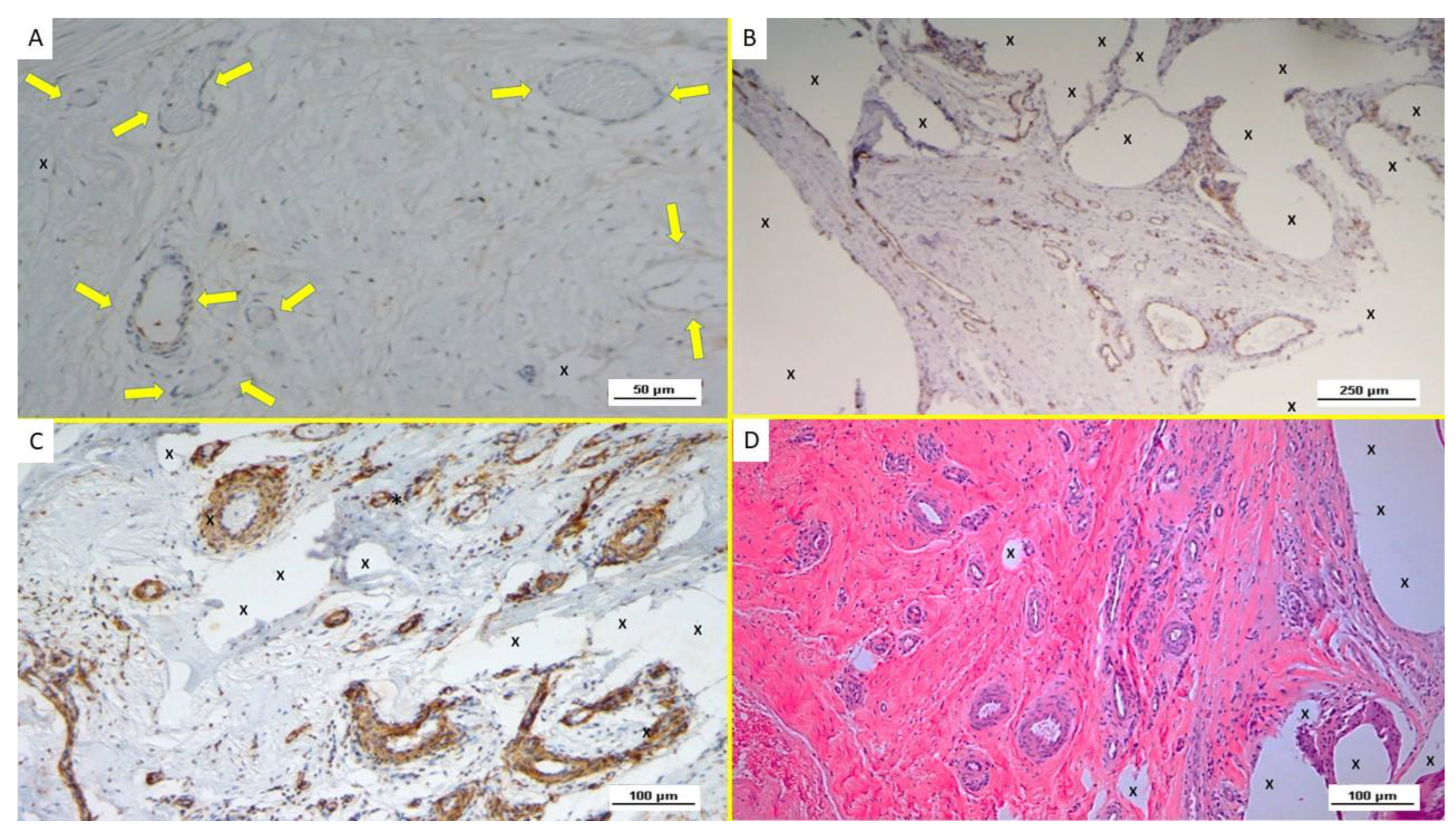 Biology 12 00434 g004