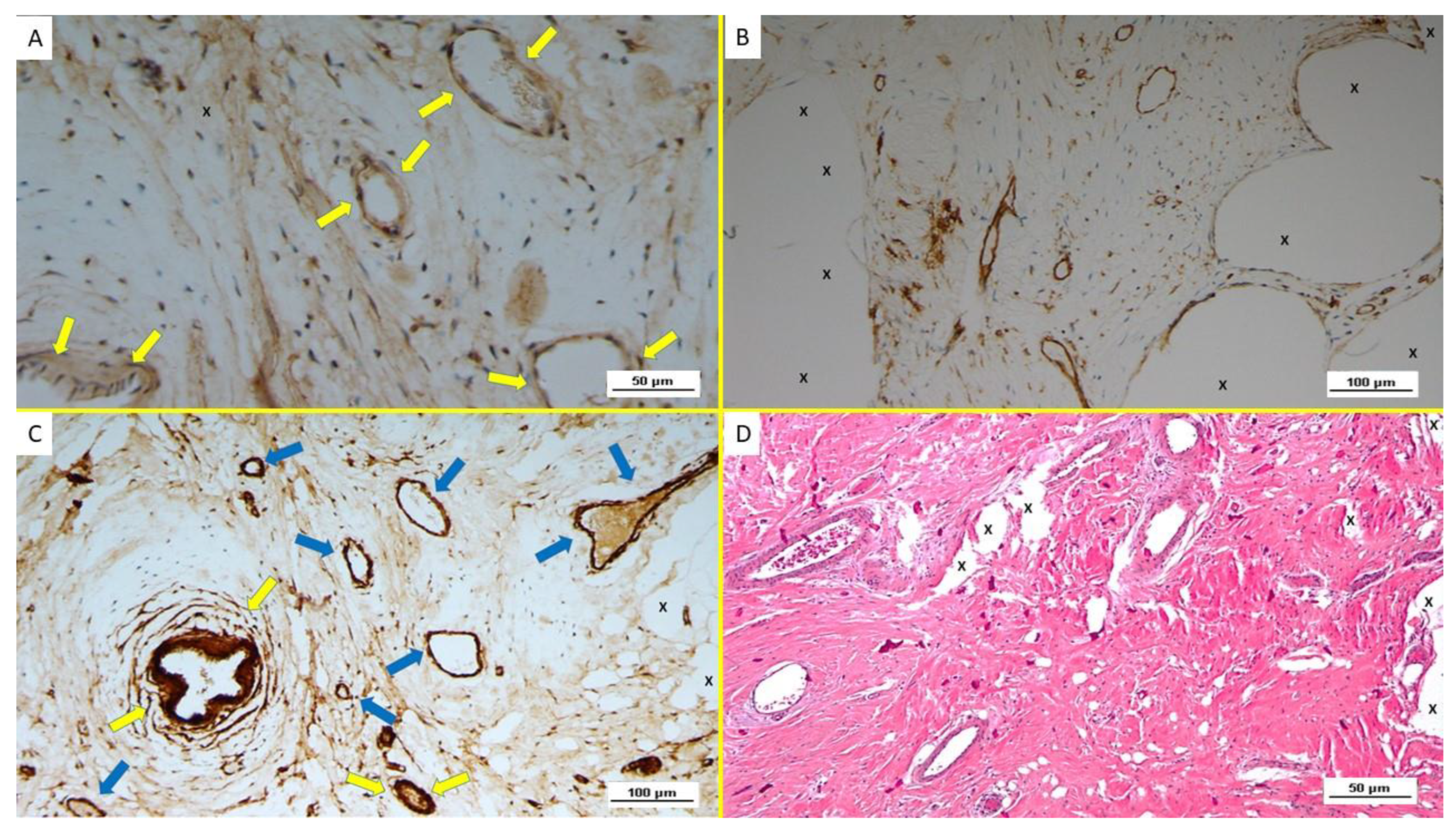 Biology 12 00434 g005