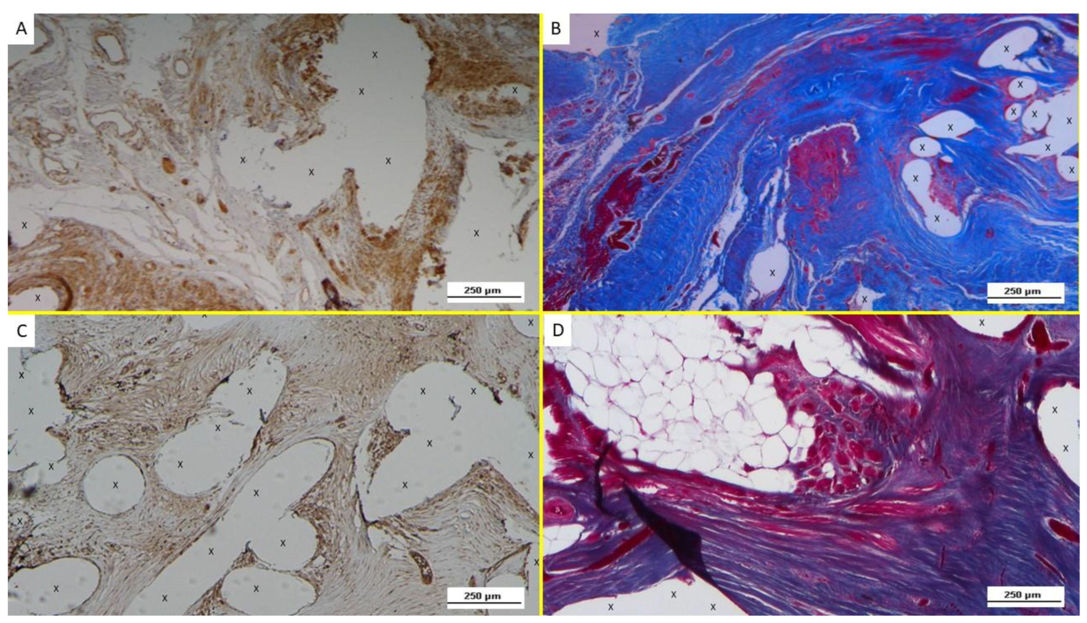 Biology 12 00434 g007