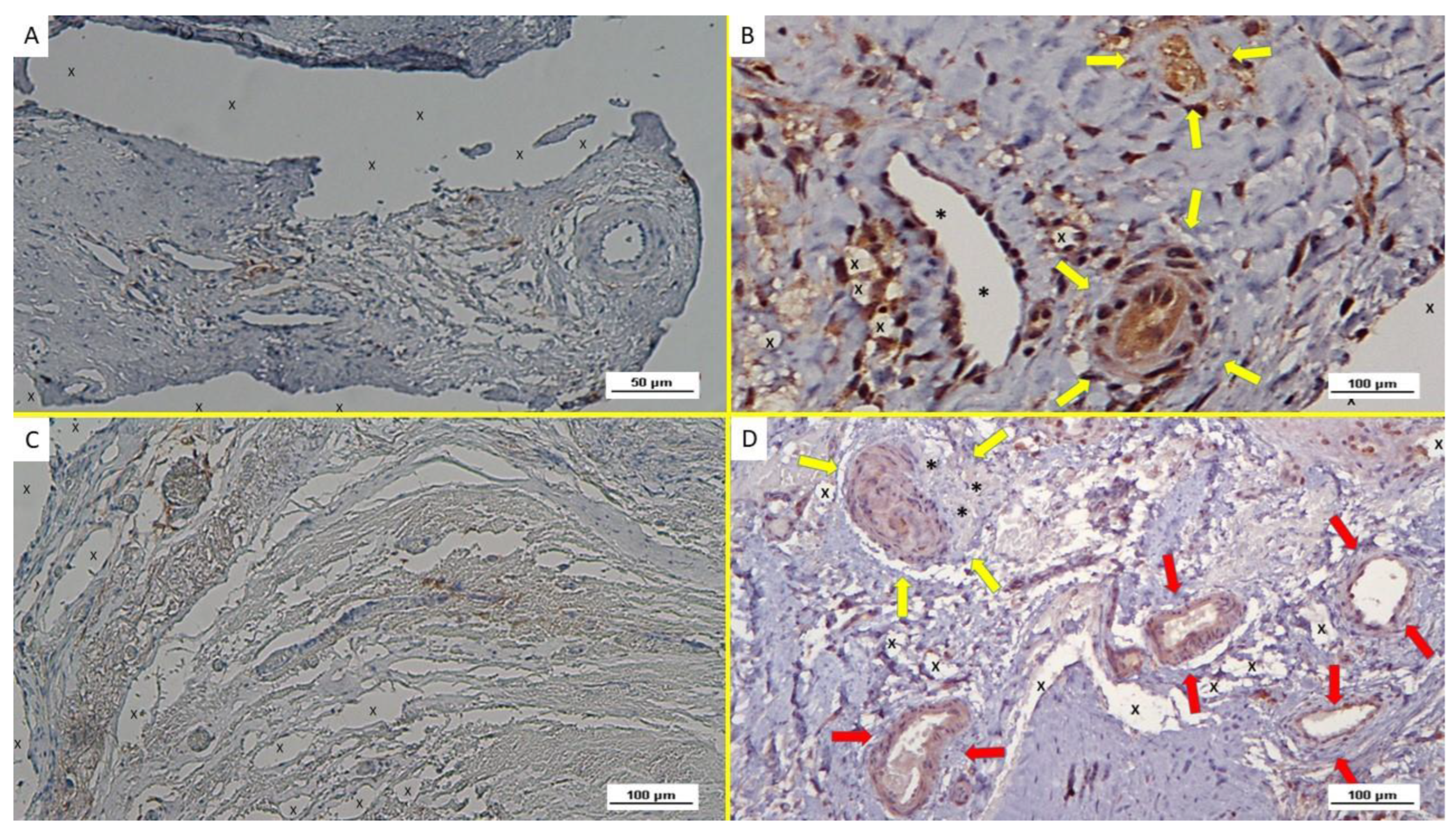 Biology 12 00434 g008