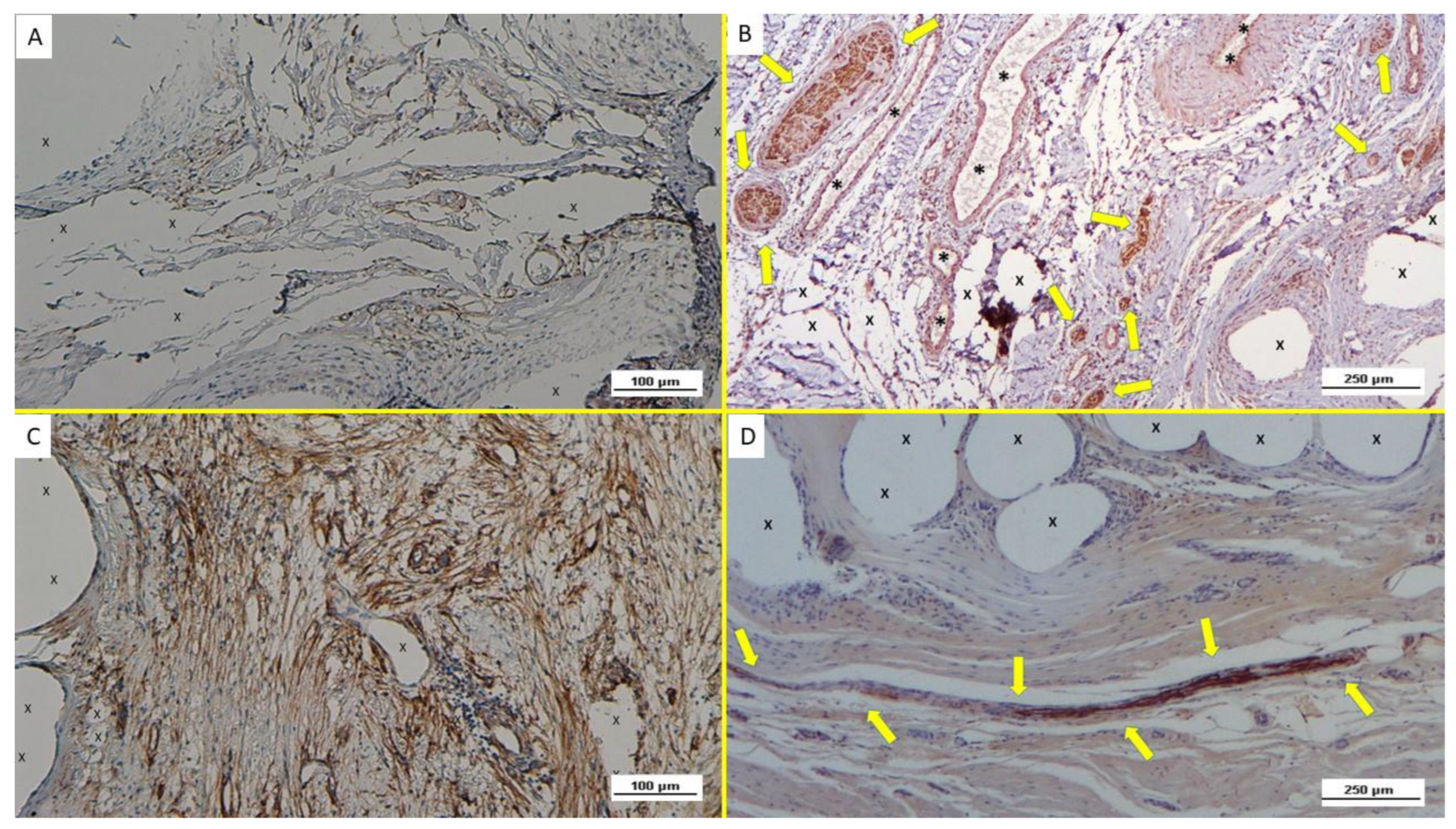Biology 12 00434 g009