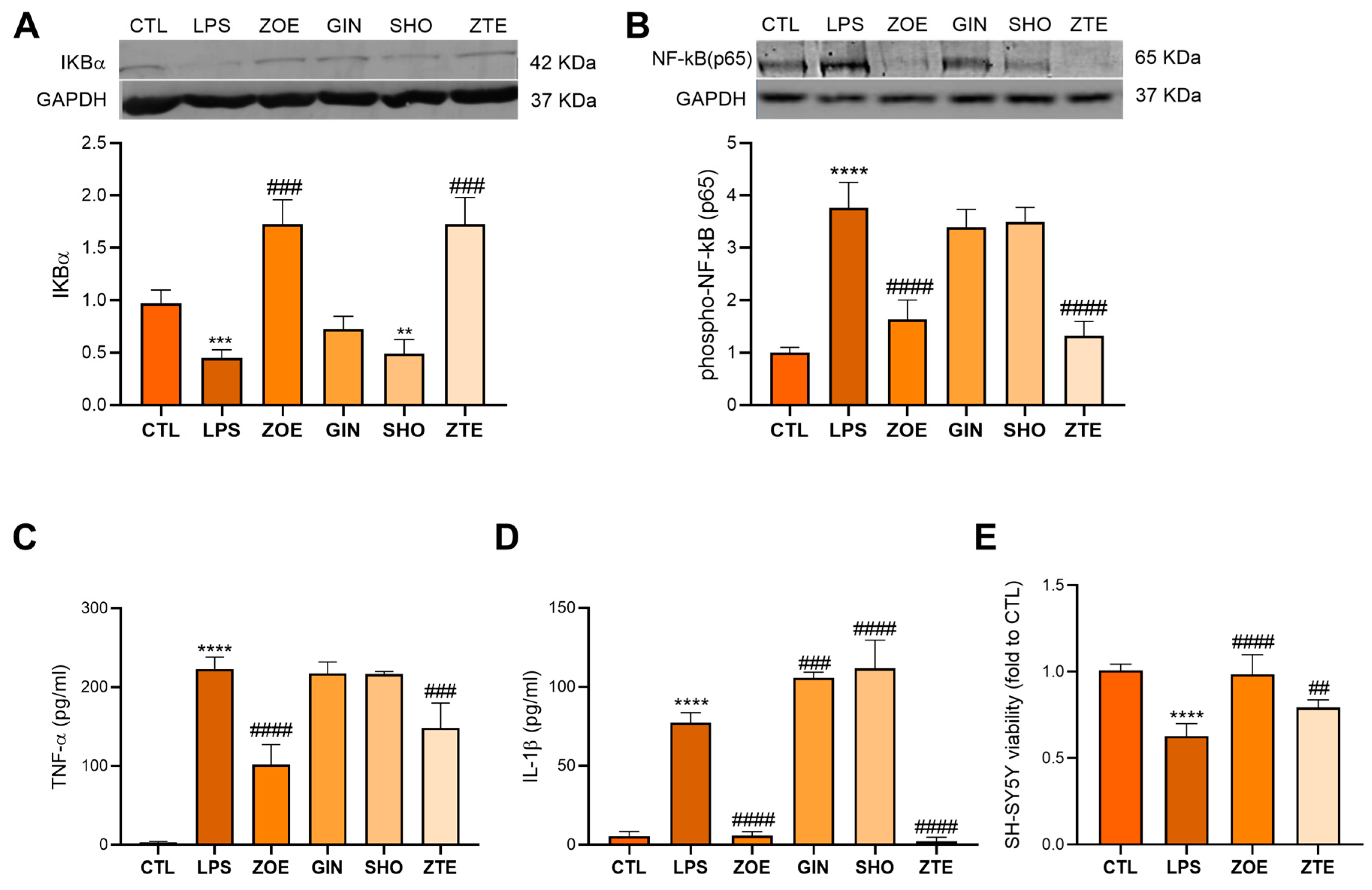 Biology 12 00438 g001