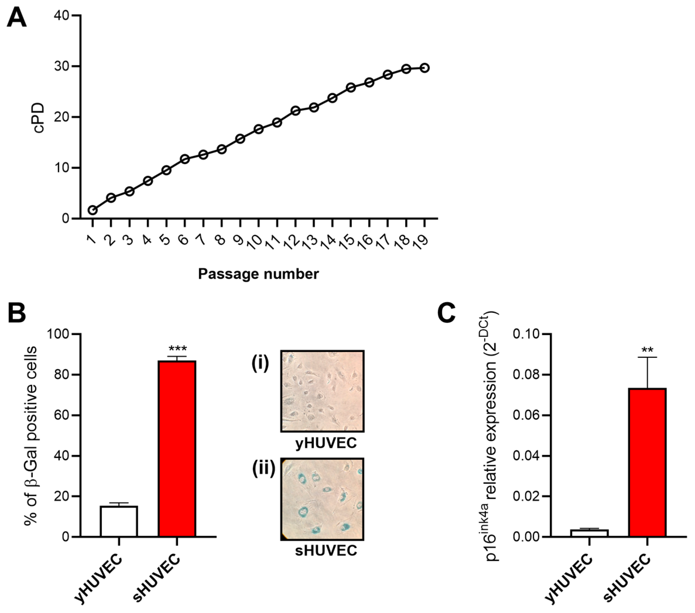 Biology 12 00438 g002