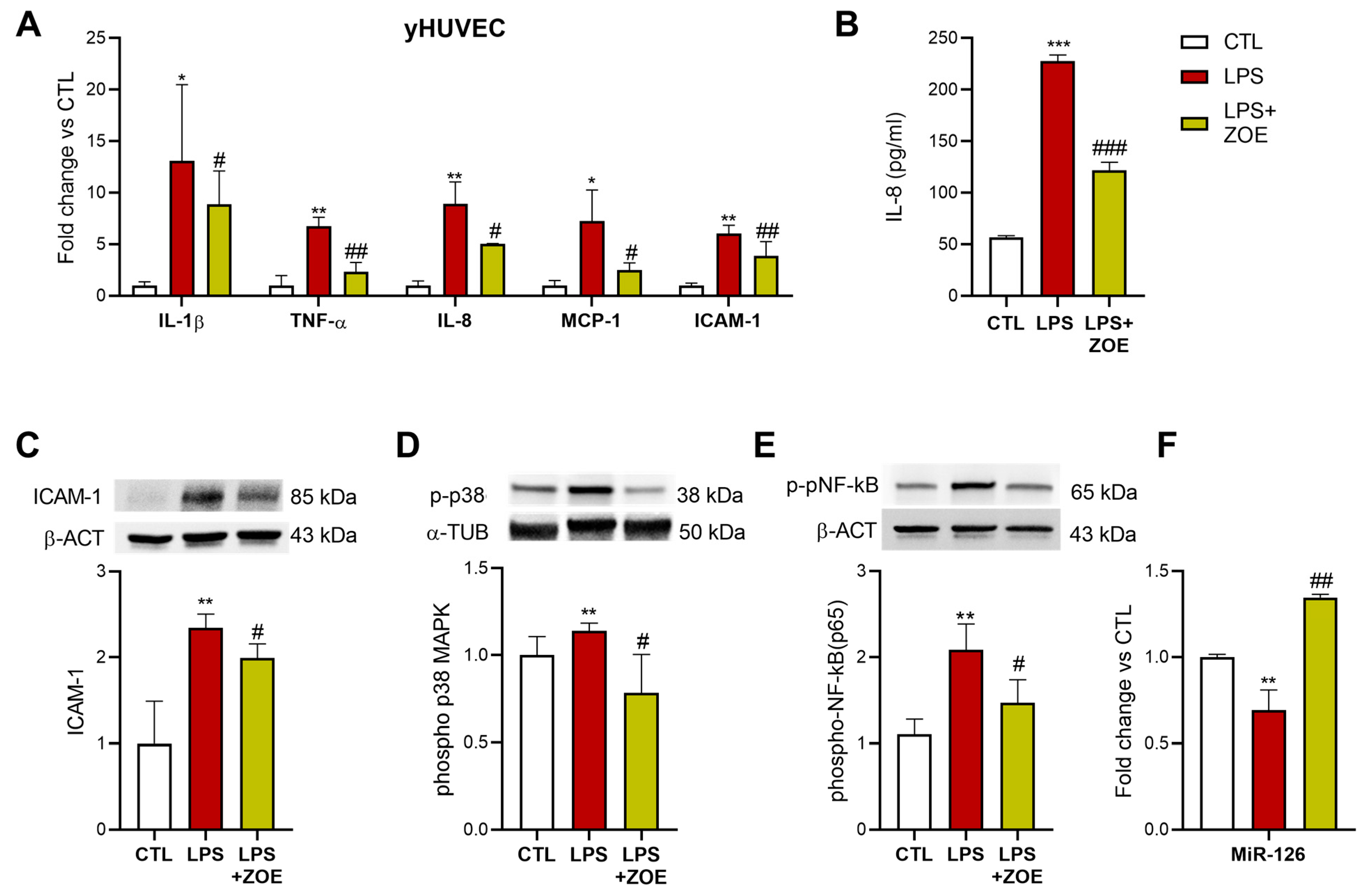 Biology 12 00438 g004