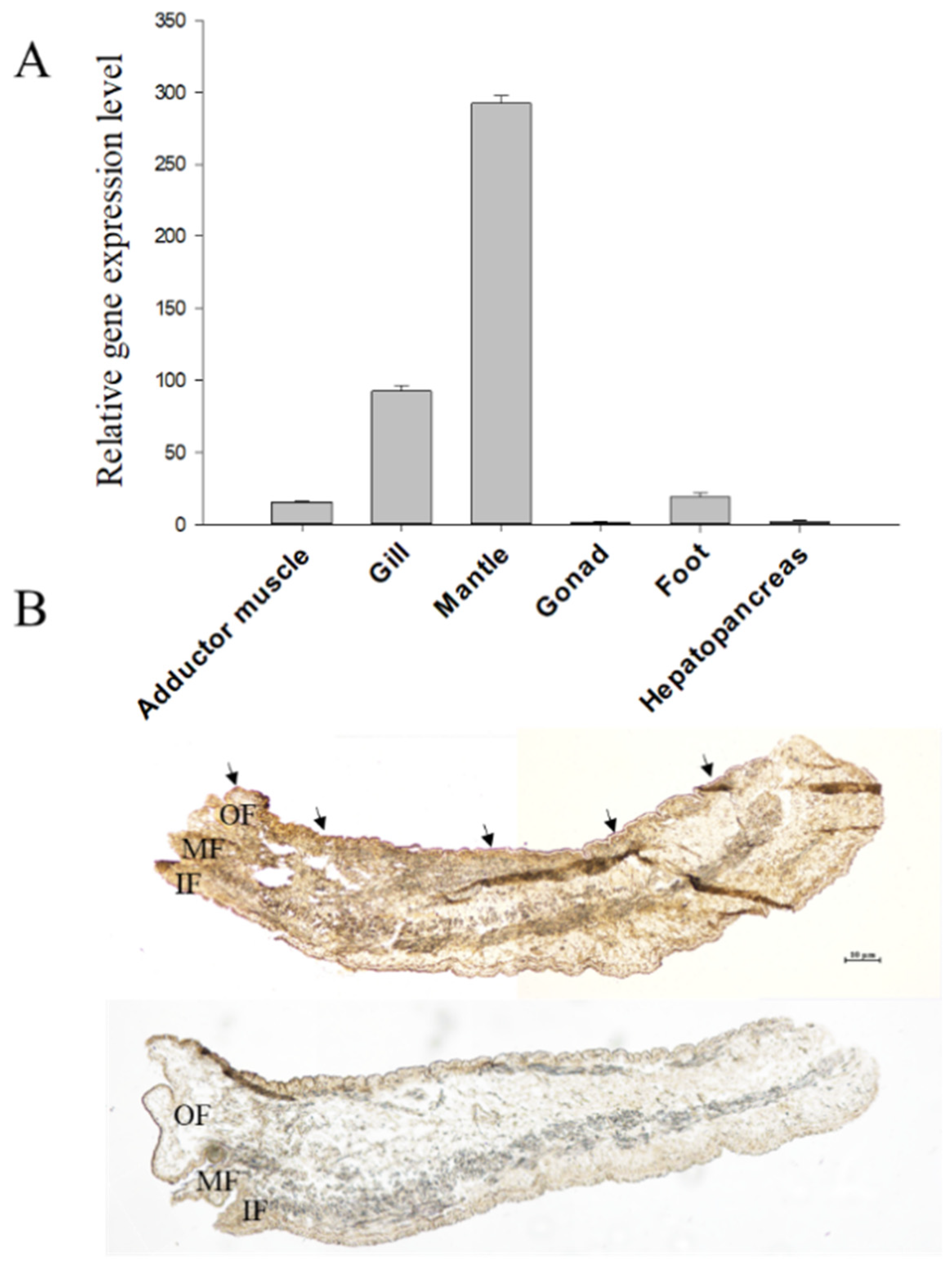 Biology 12 00447 g005 Biology 12 00447 g005