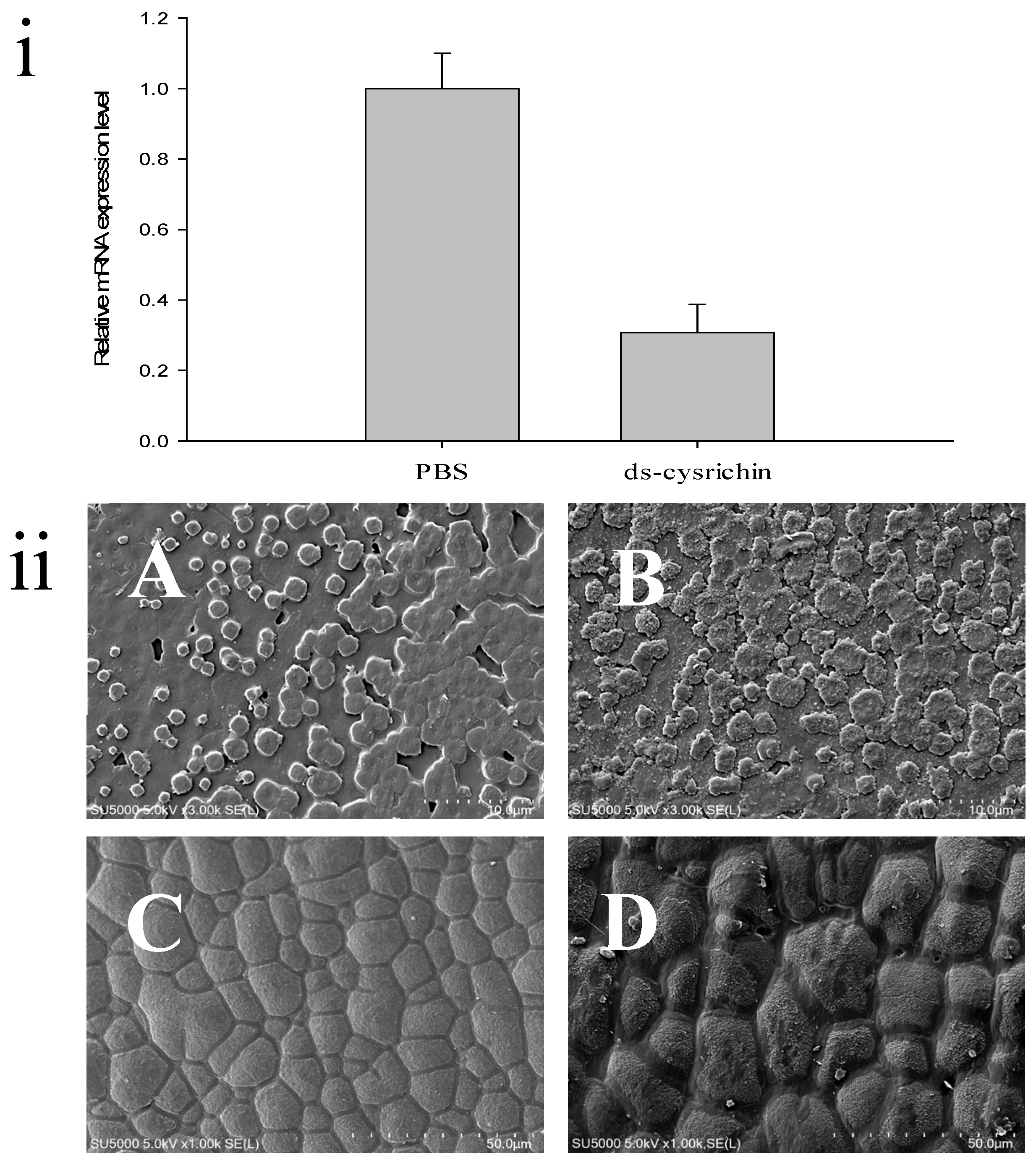 Biology 12 00447 g006 Biology 12 00447 g006