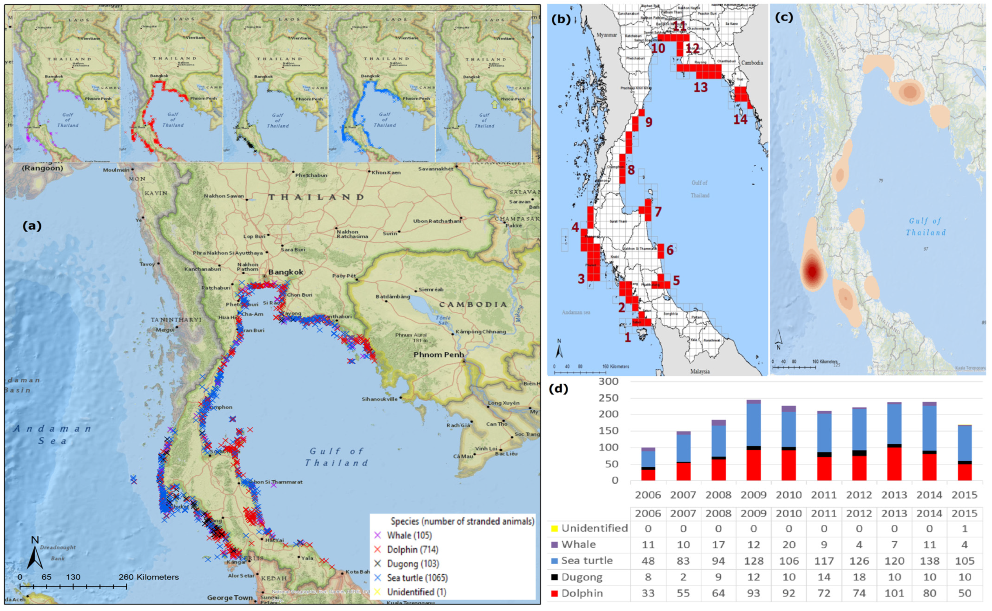 Biology 12 00448 g001