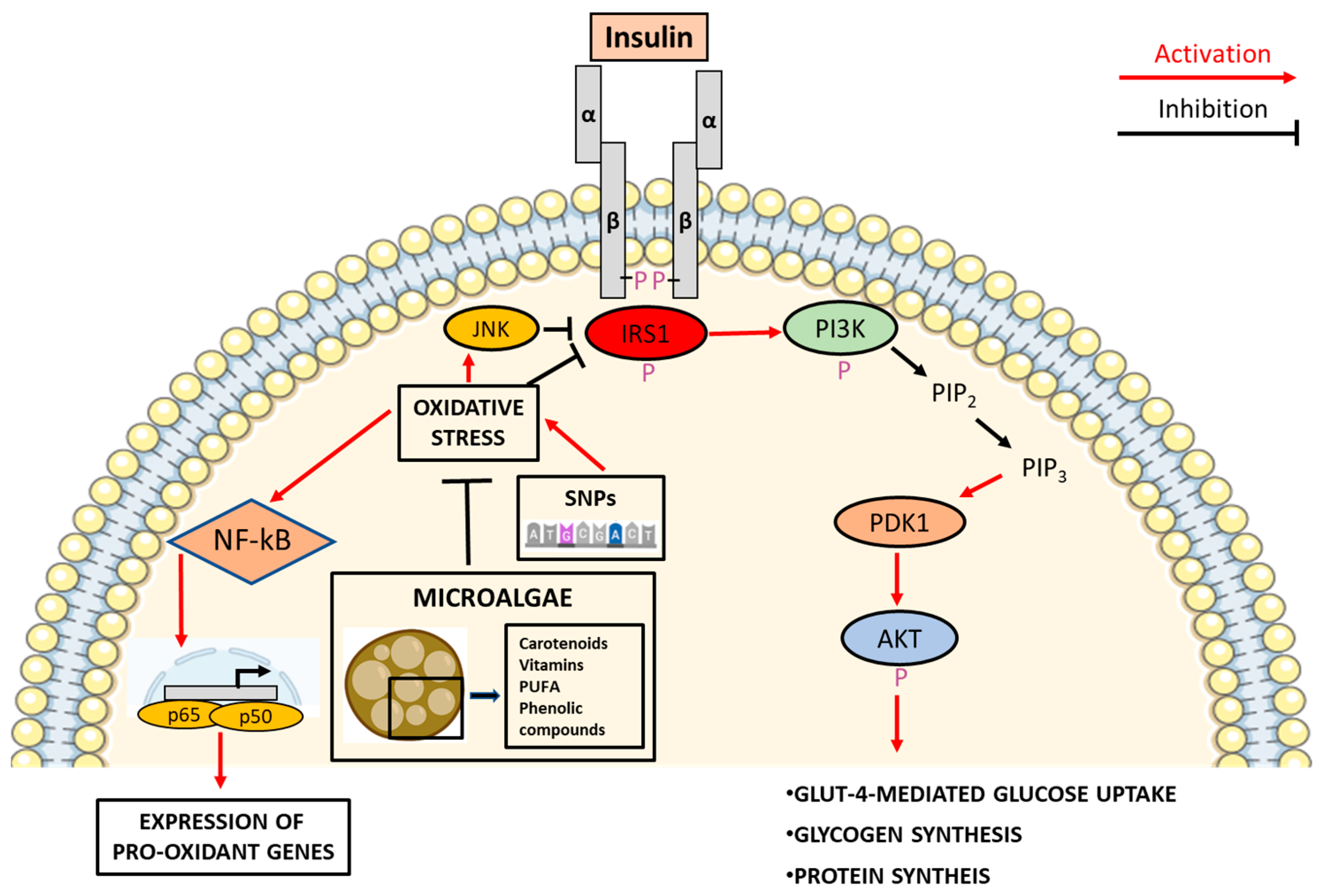 Biology 12 00449 g001