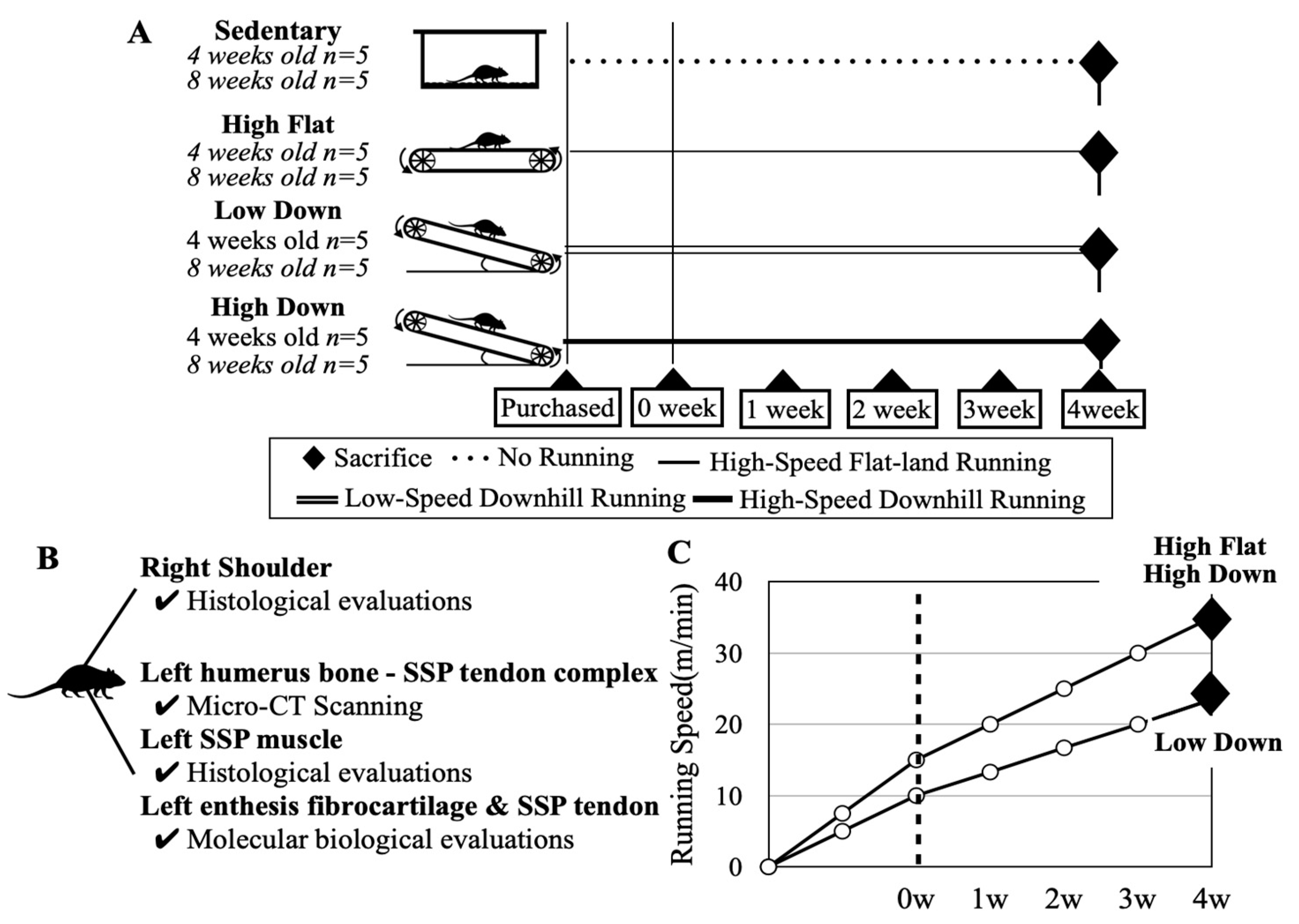 Biology 12 00456 g001