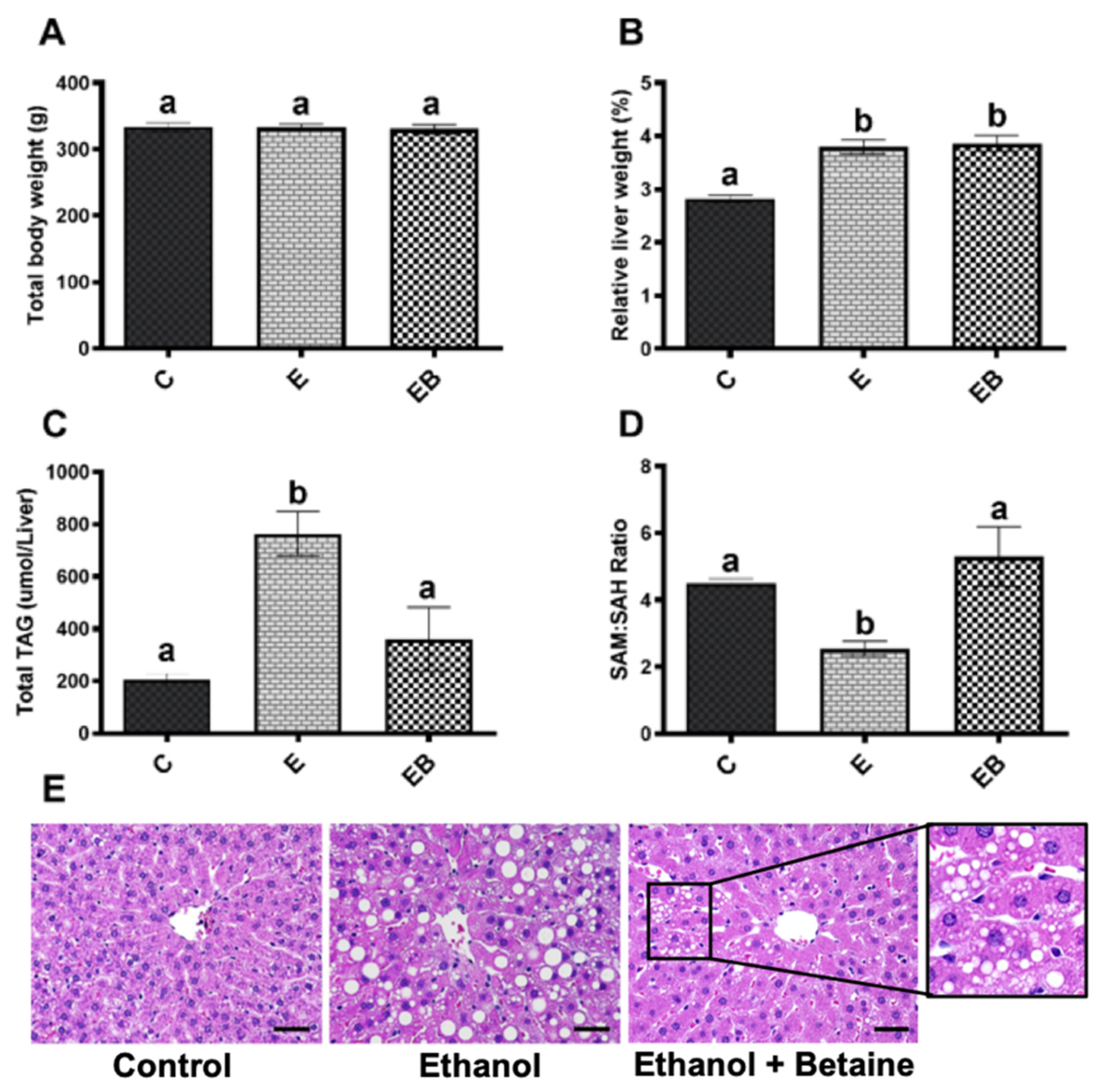 Biology 12 00462 g001