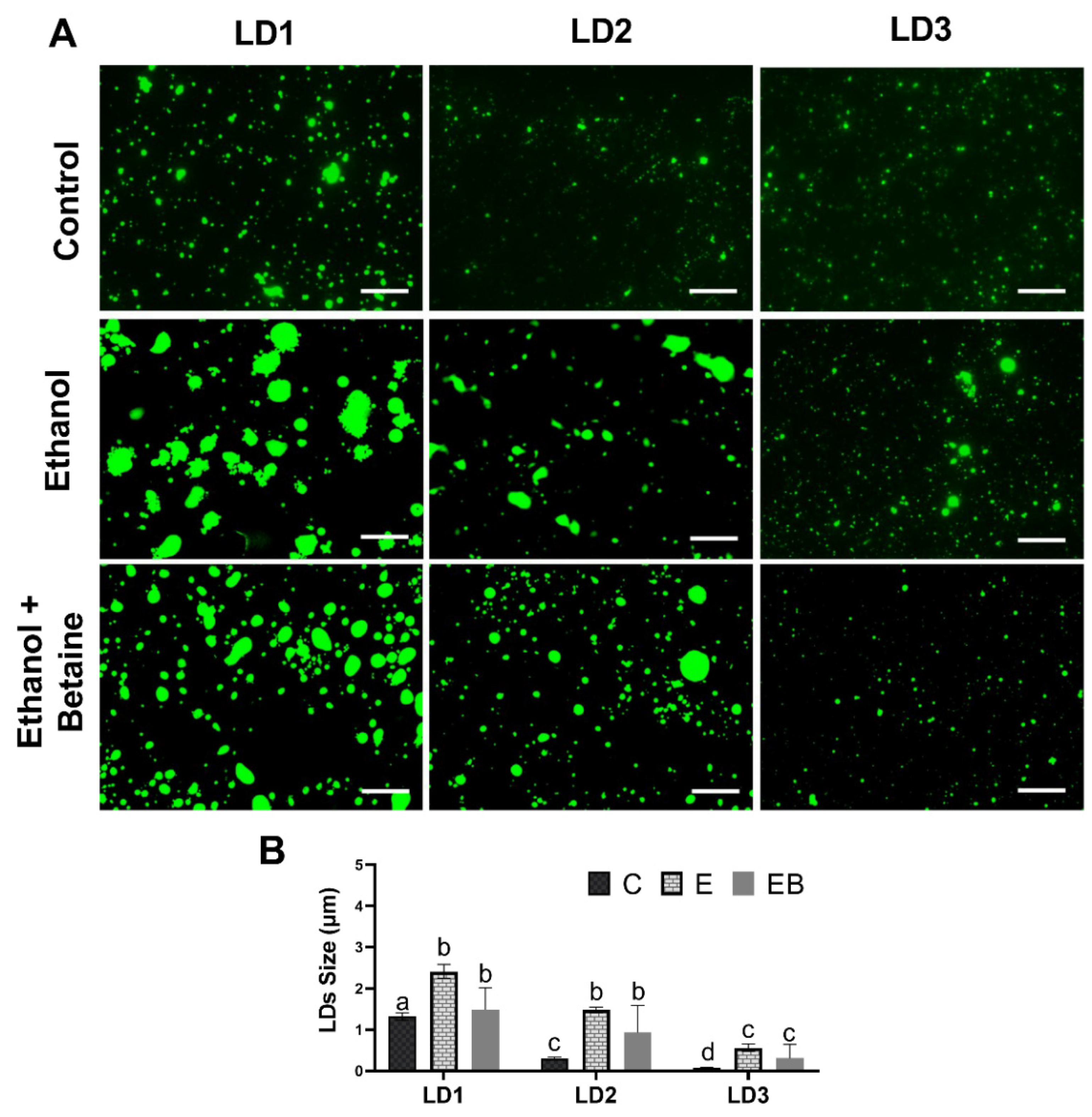 Biology 12 00462 g002