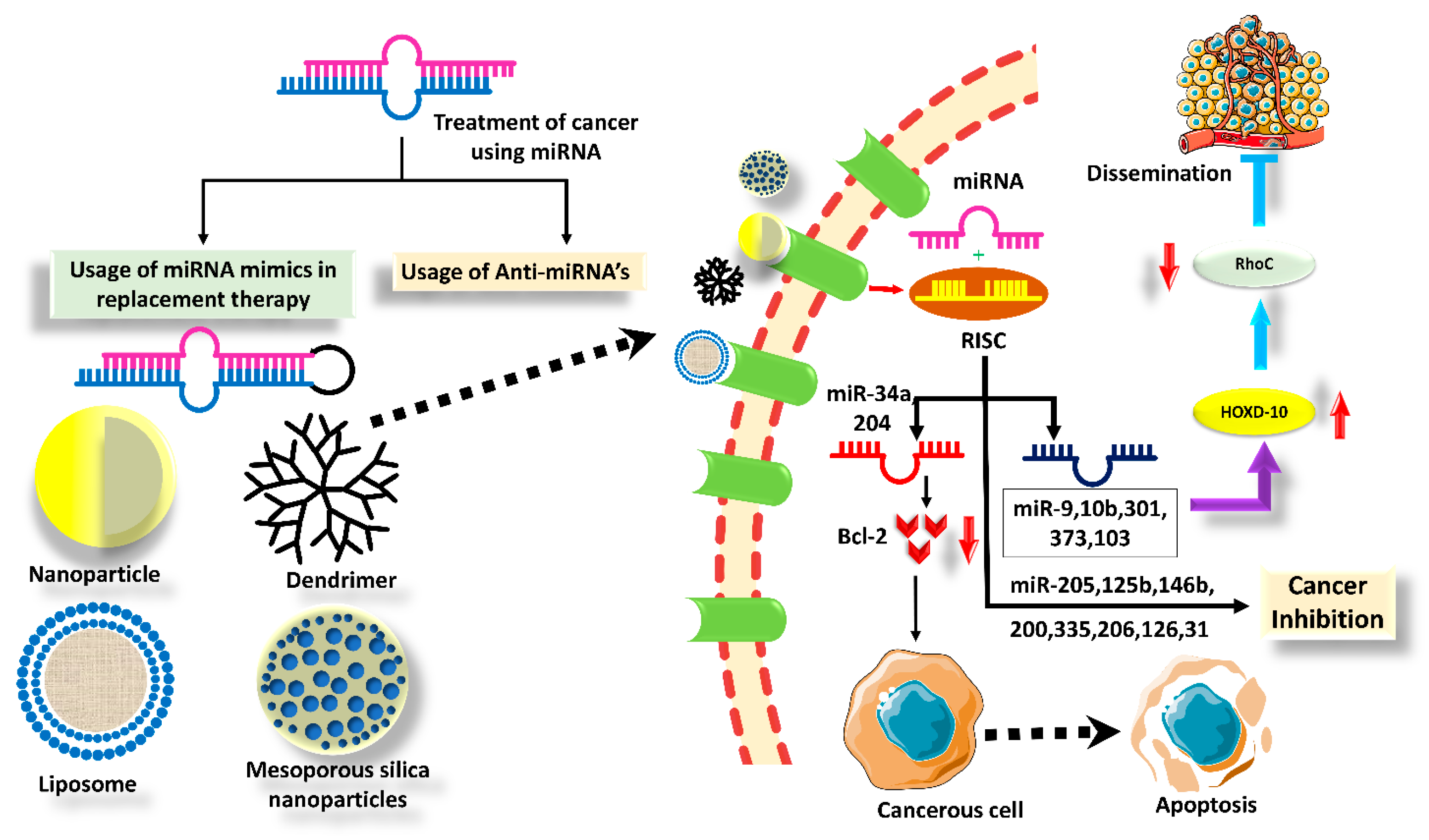 Biology 12 00467 g003 Biology 12 00467 g003