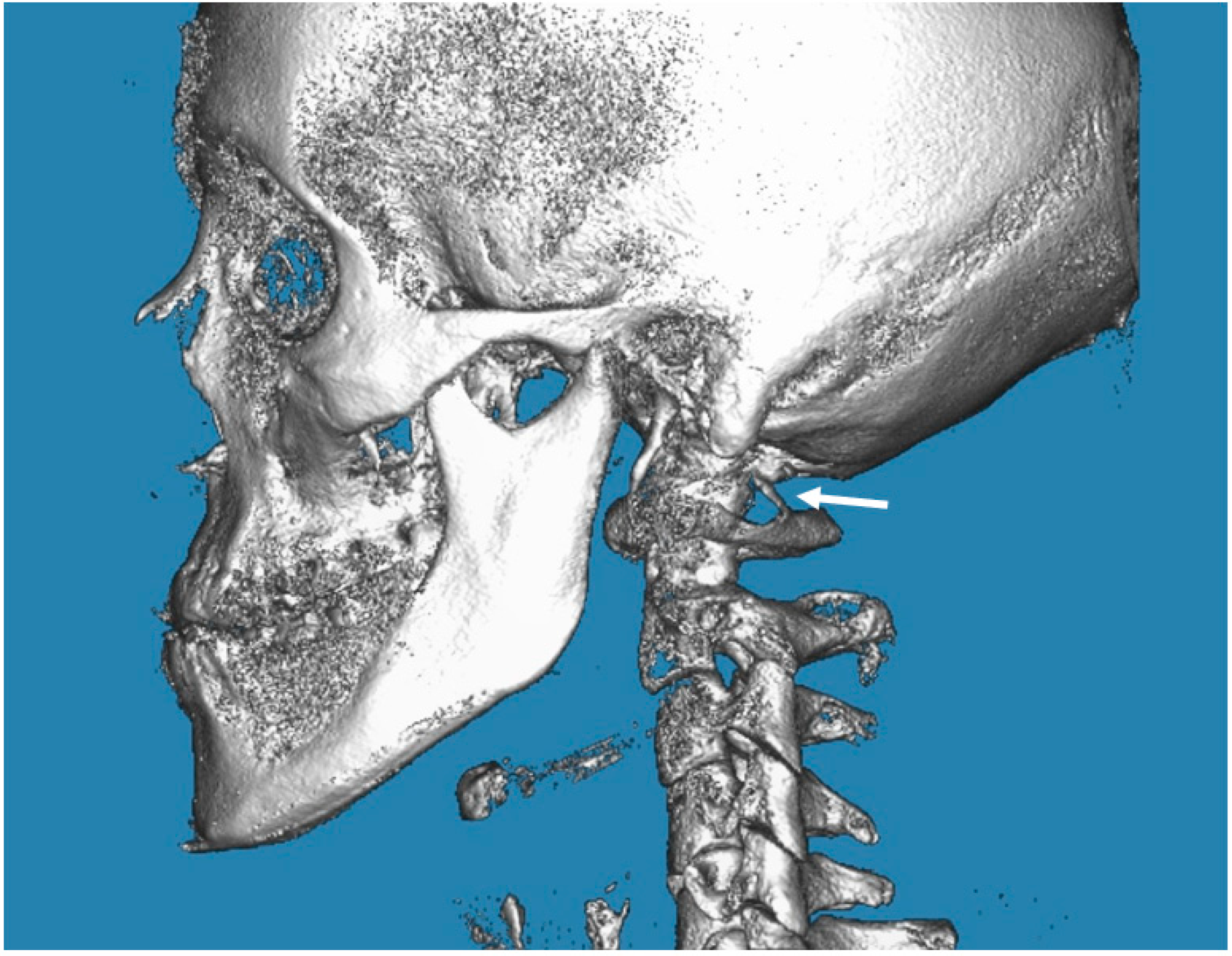 Biology 12 00471 g002