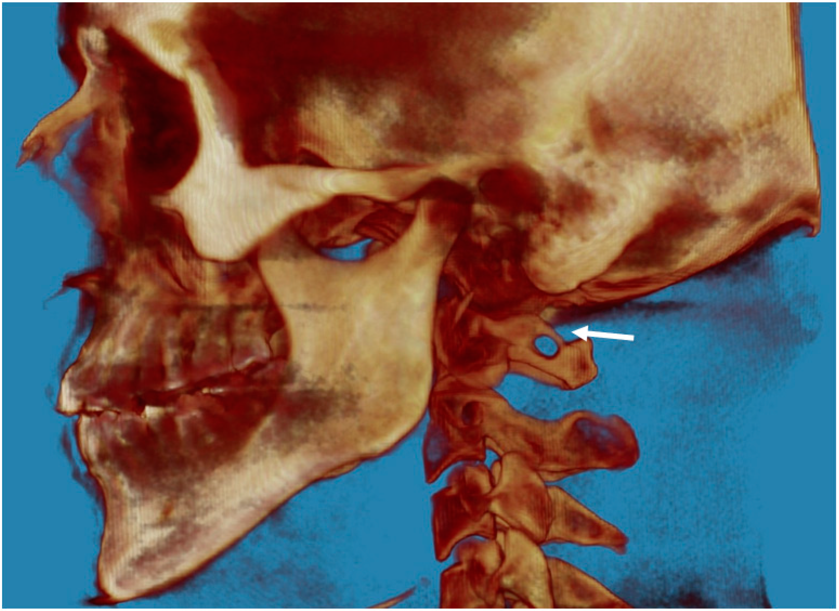 Biology 12 00471 g003