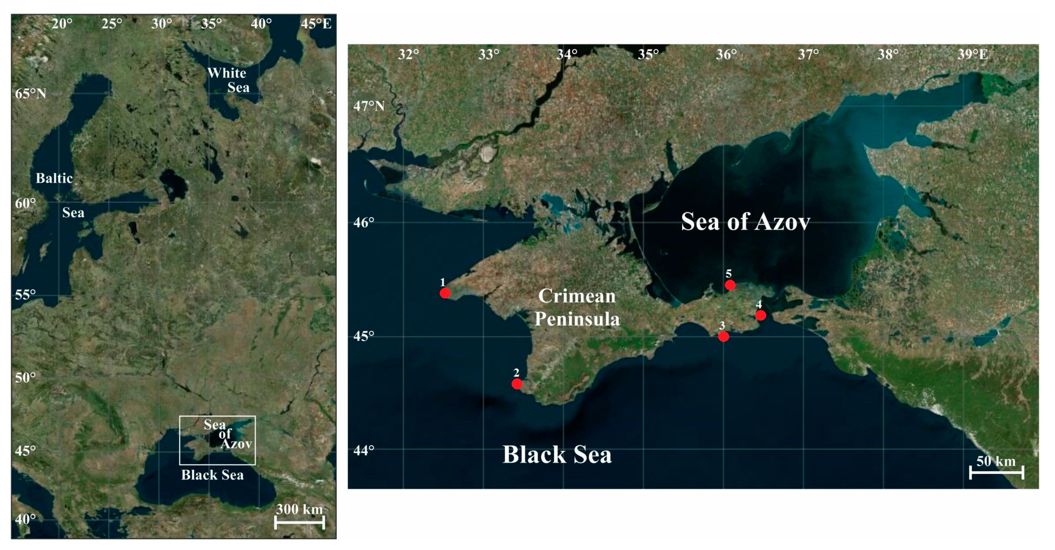 Biology 12 00478 g001