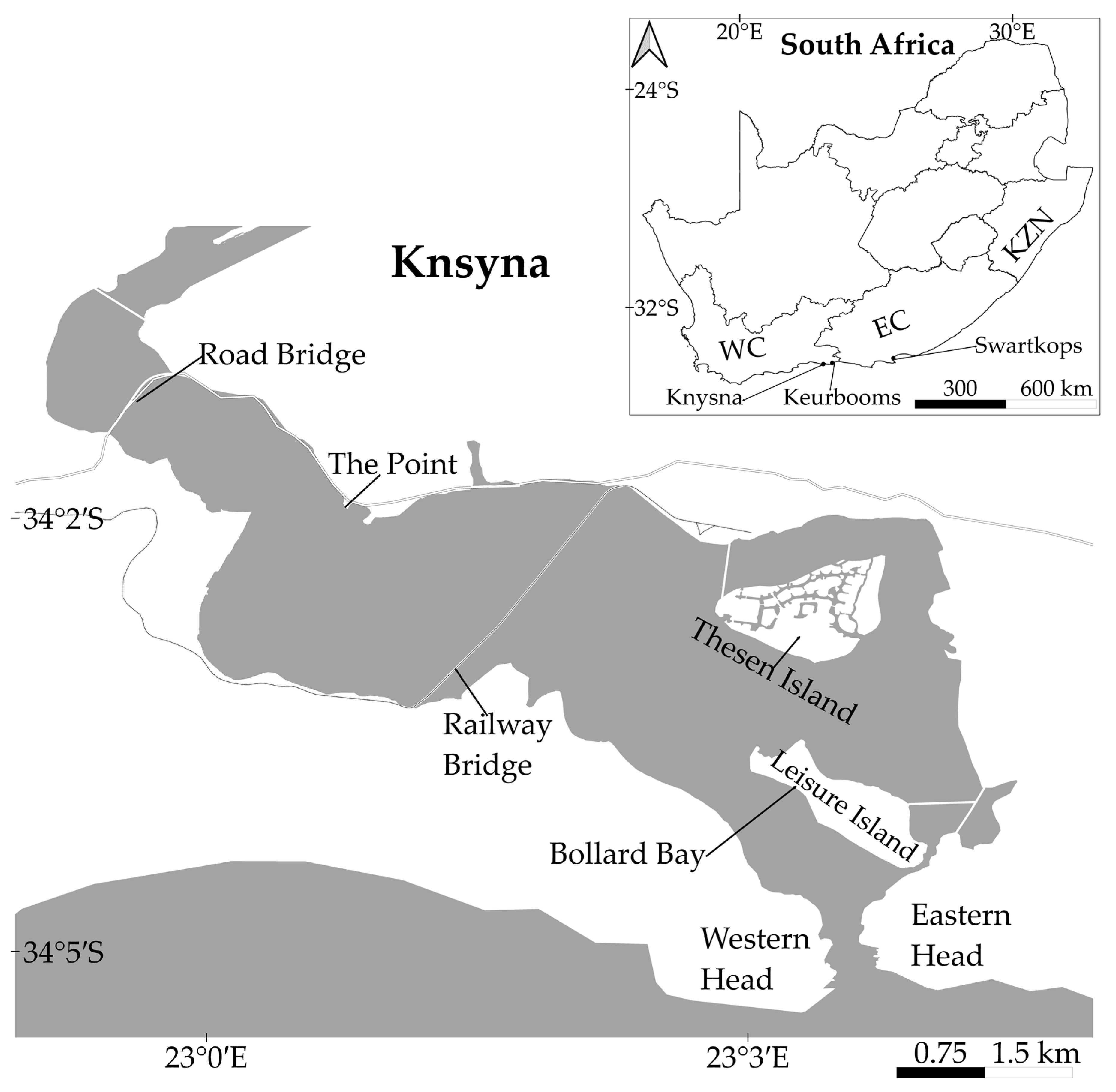 Biology 12 00483 g001