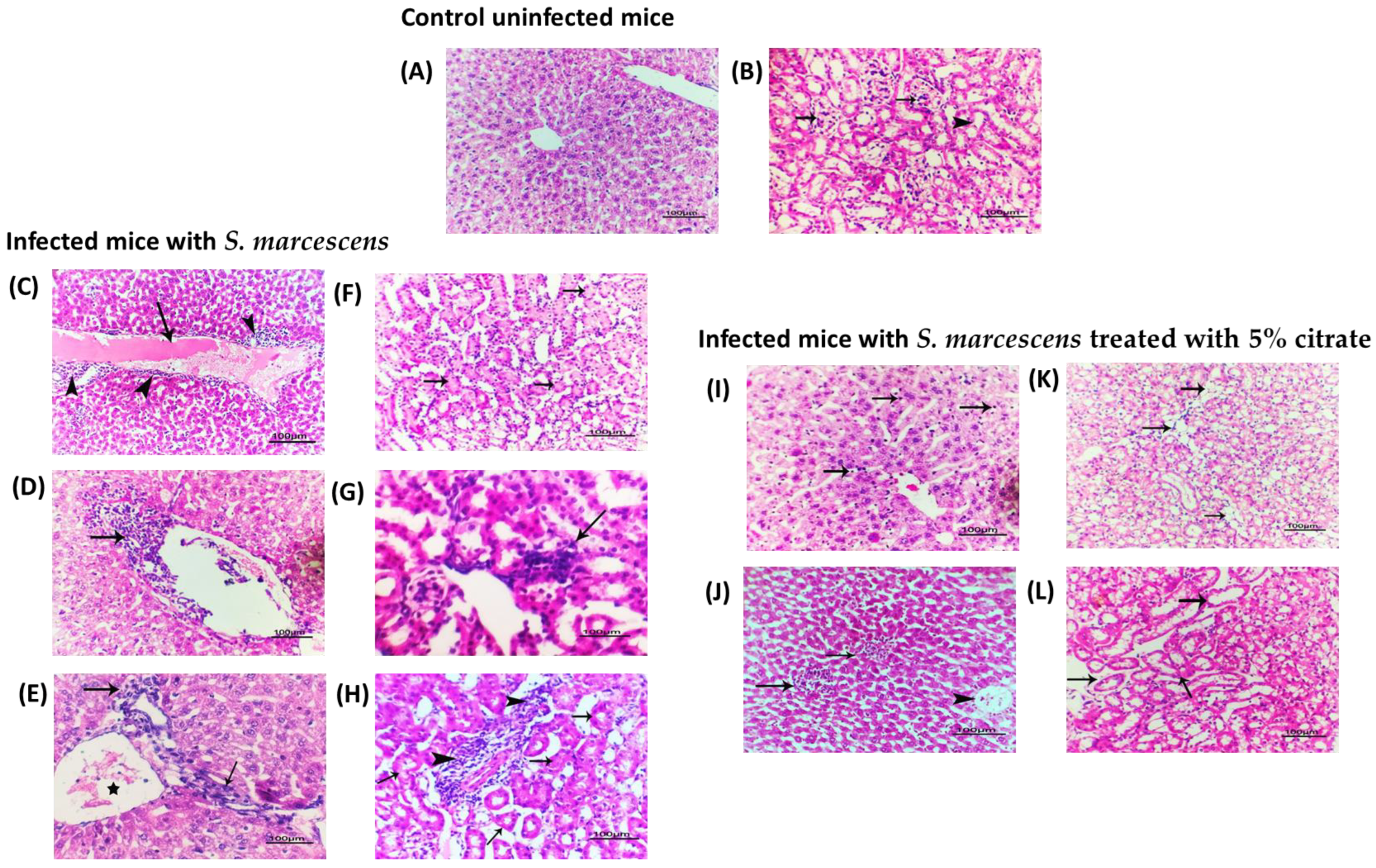 Biology 12 00504 g007