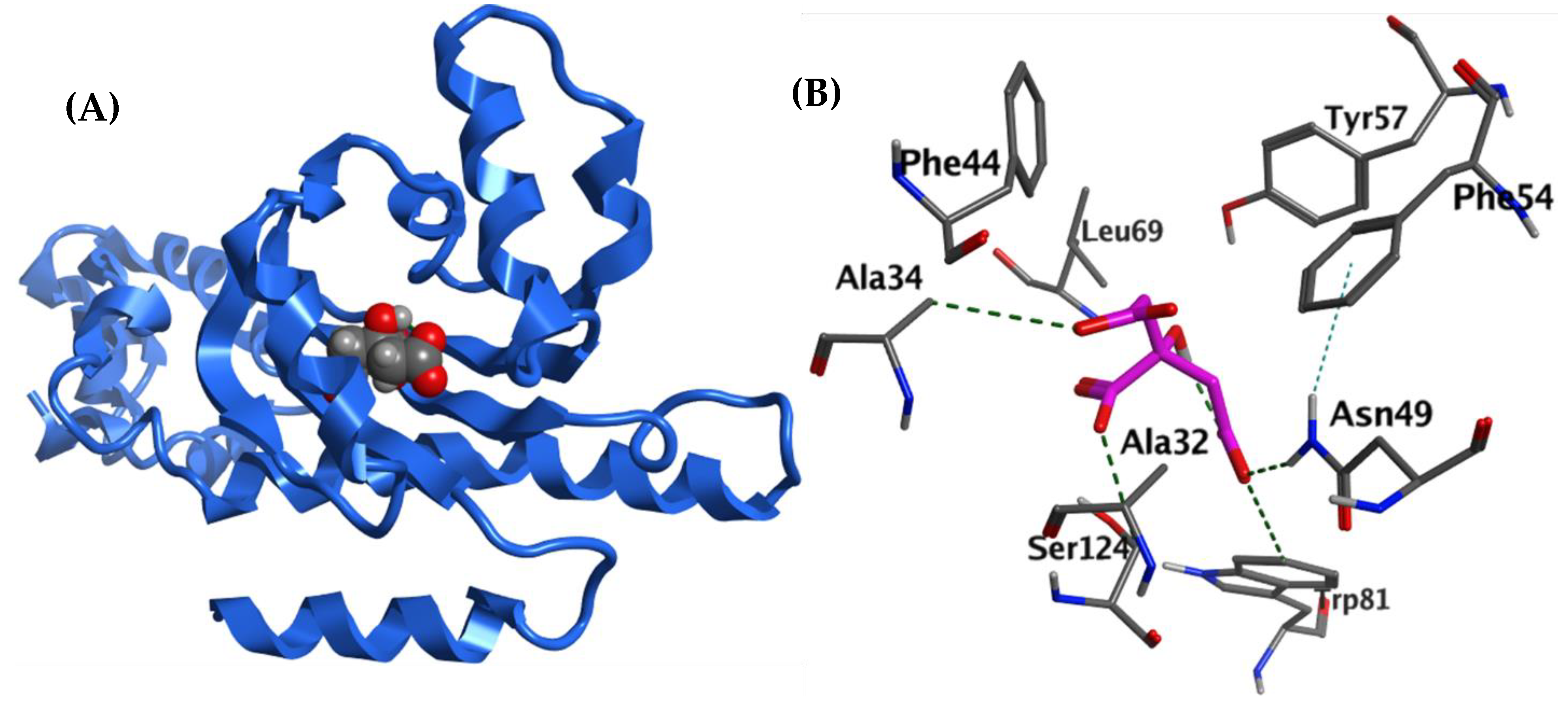 Biology 12 00504 g008