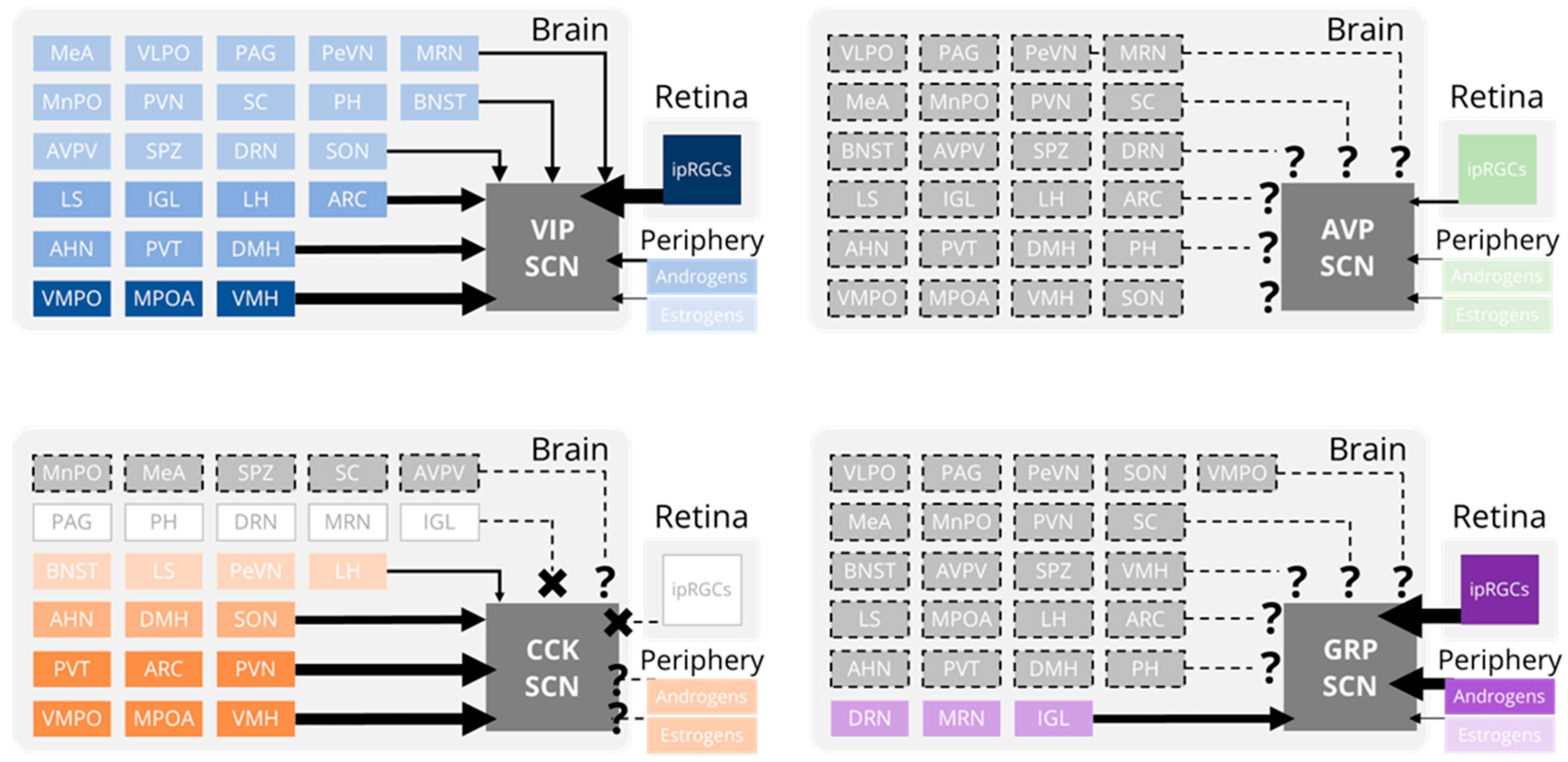 Biology 12 00508 g002