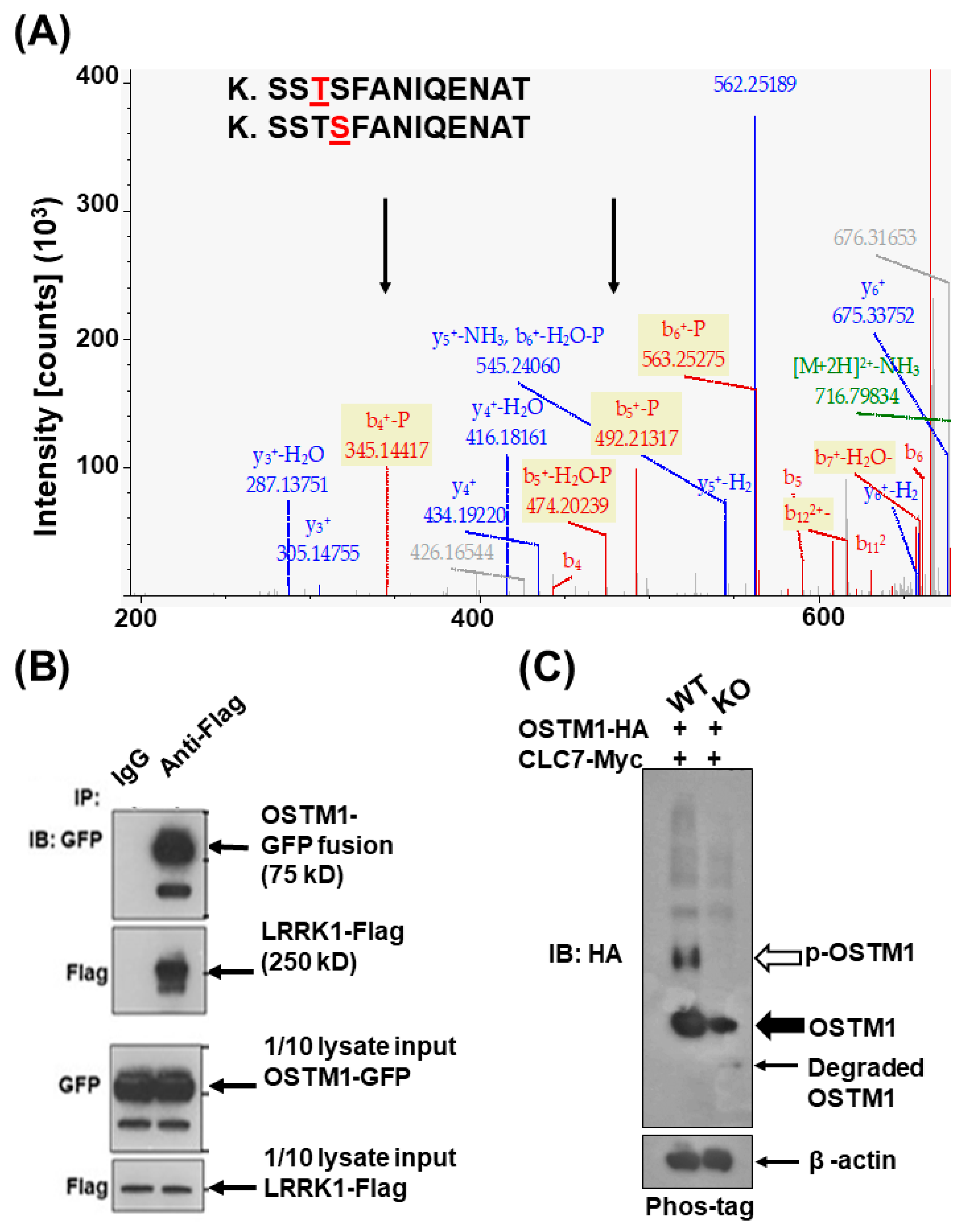 Biology 12 00511 g004