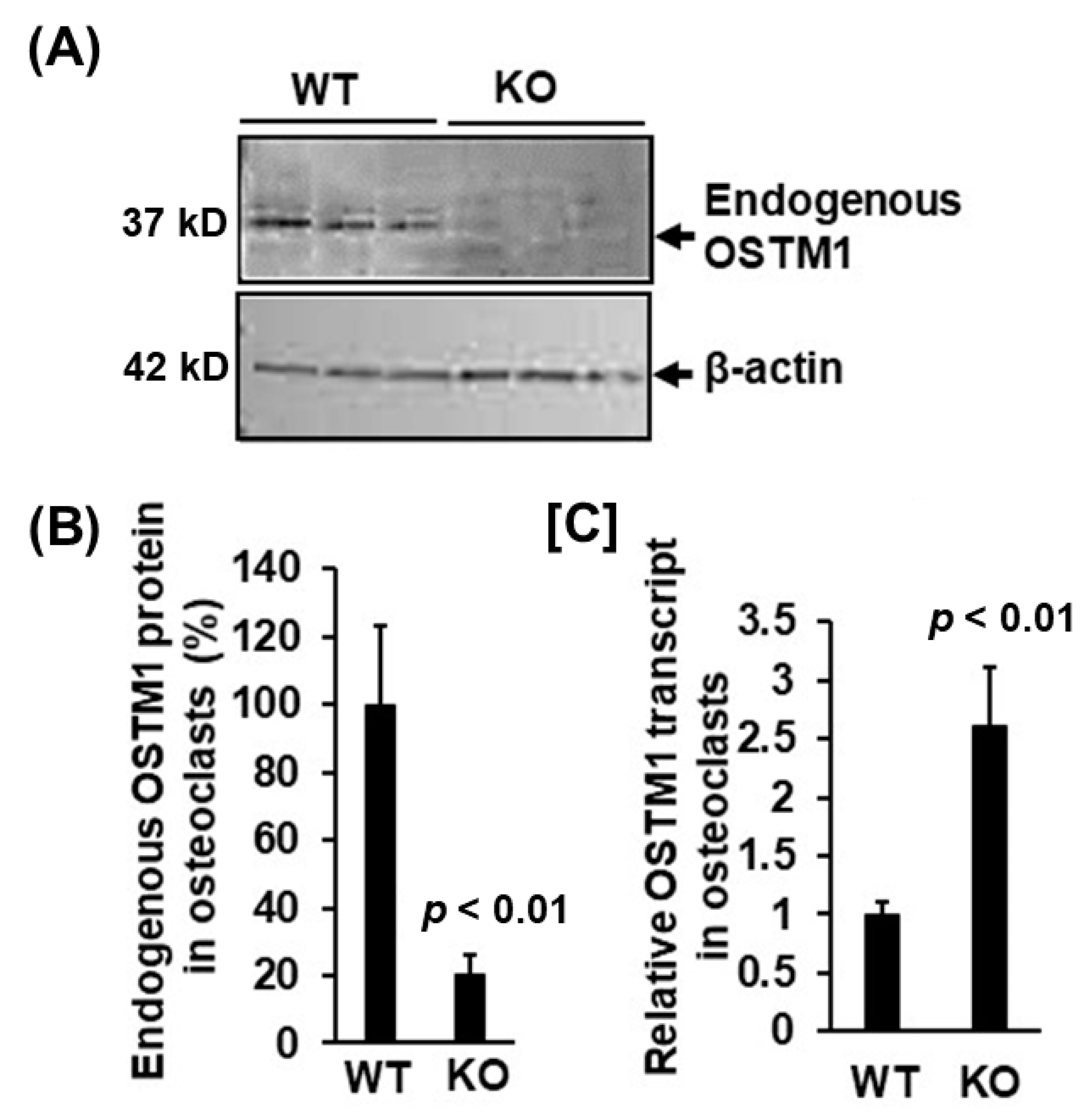 Biology 12 00511 g005
