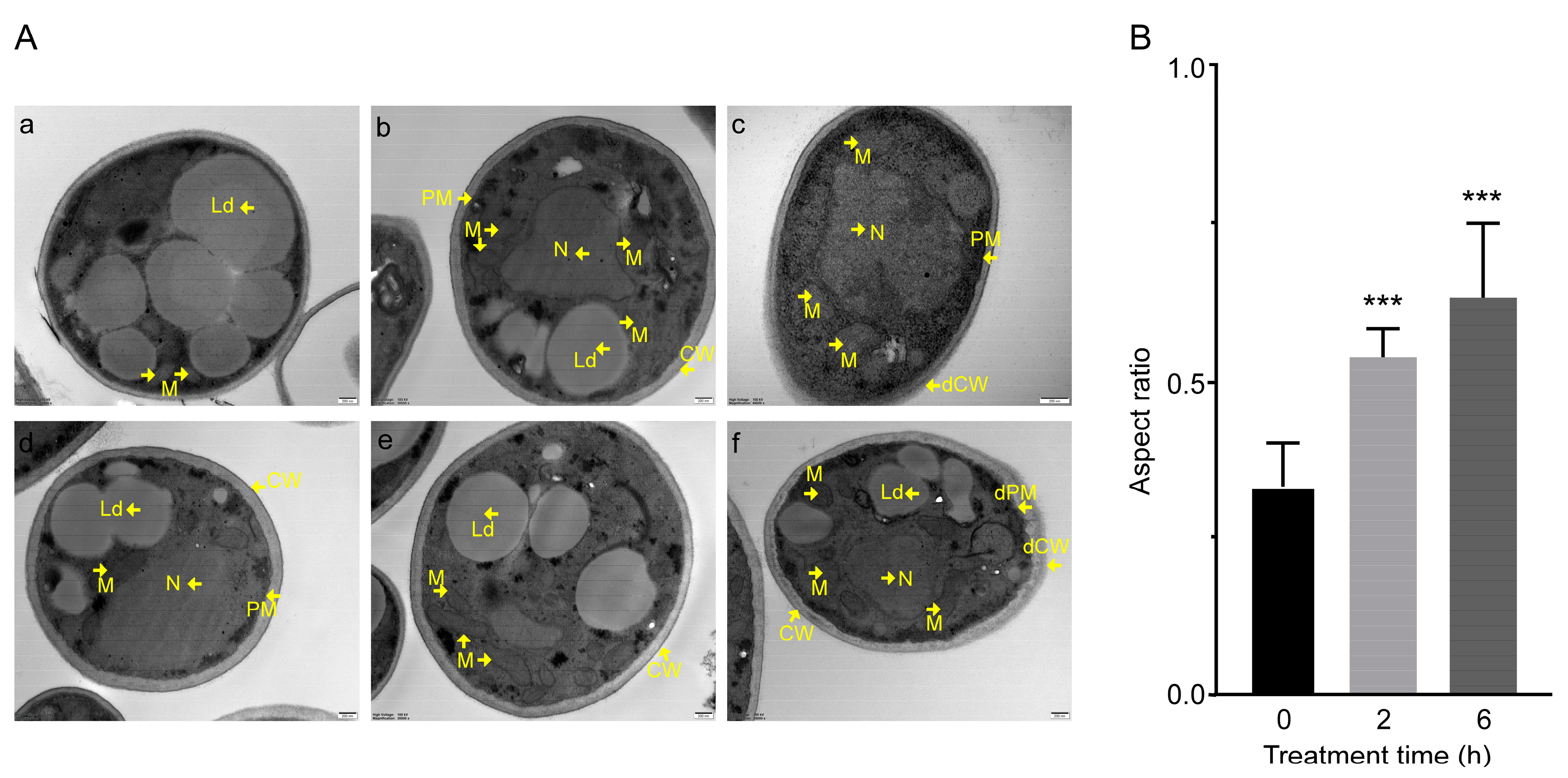 Biology 12 00513 g002 Biology 12 00513 g002
