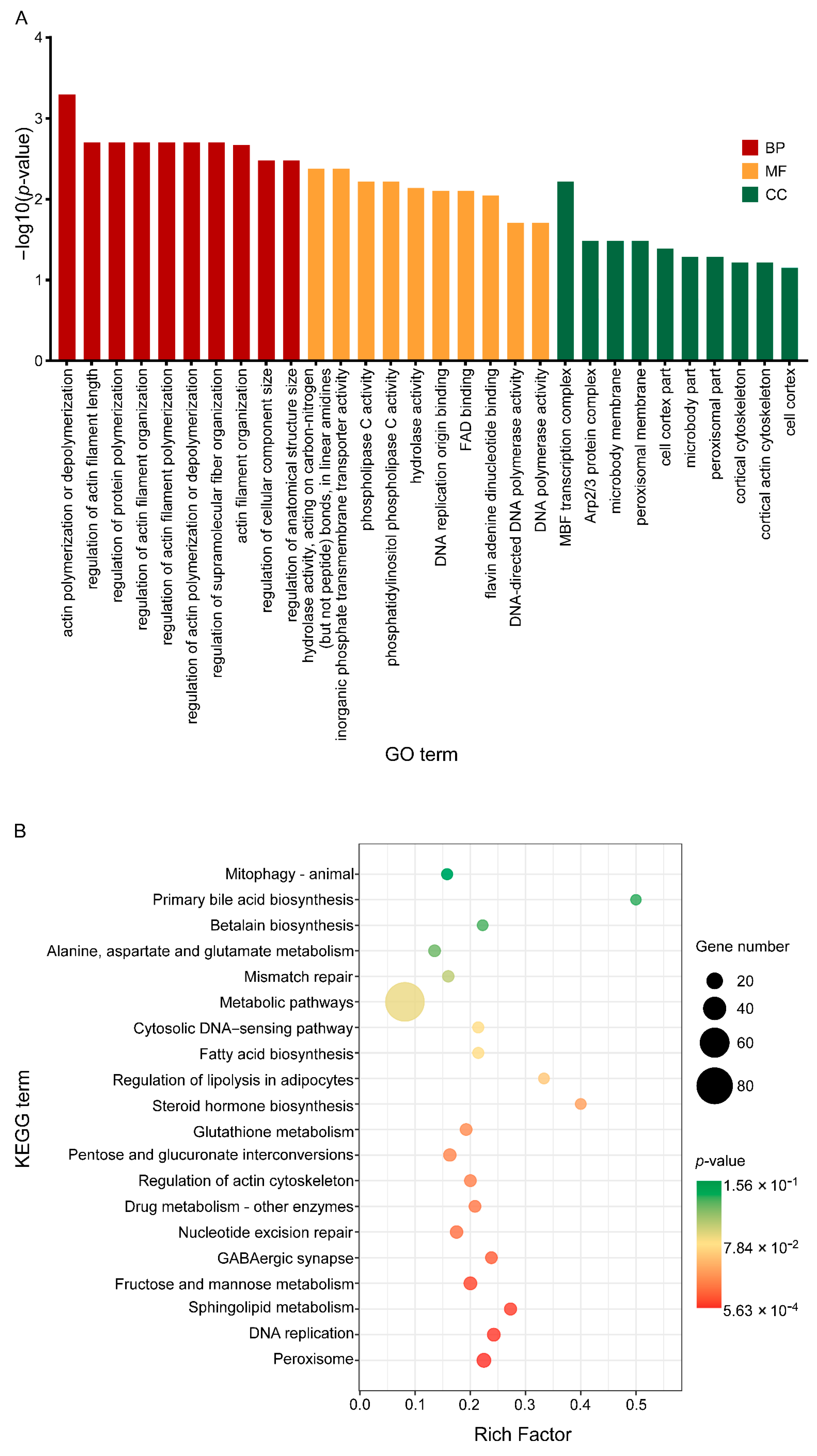 Biology 12 00513 g006 Biology 12 00513 g006
