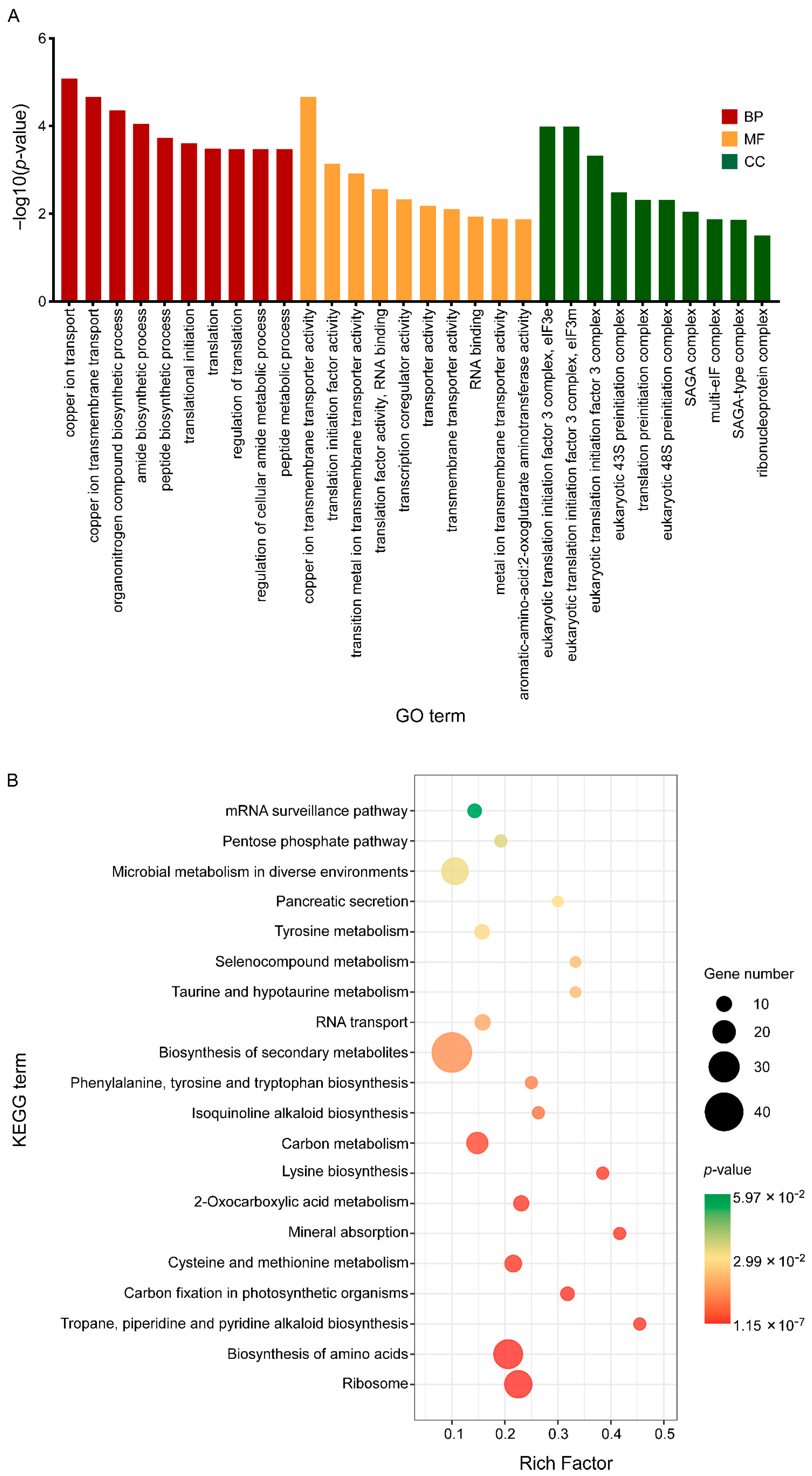 Biology 12 00513 g007 Biology 12 00513 g007