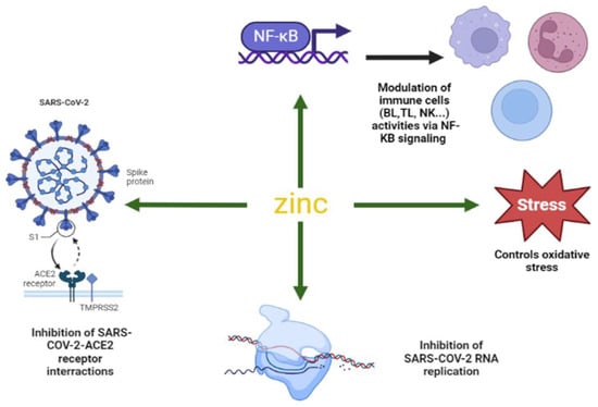 Biology 12 00514 g002