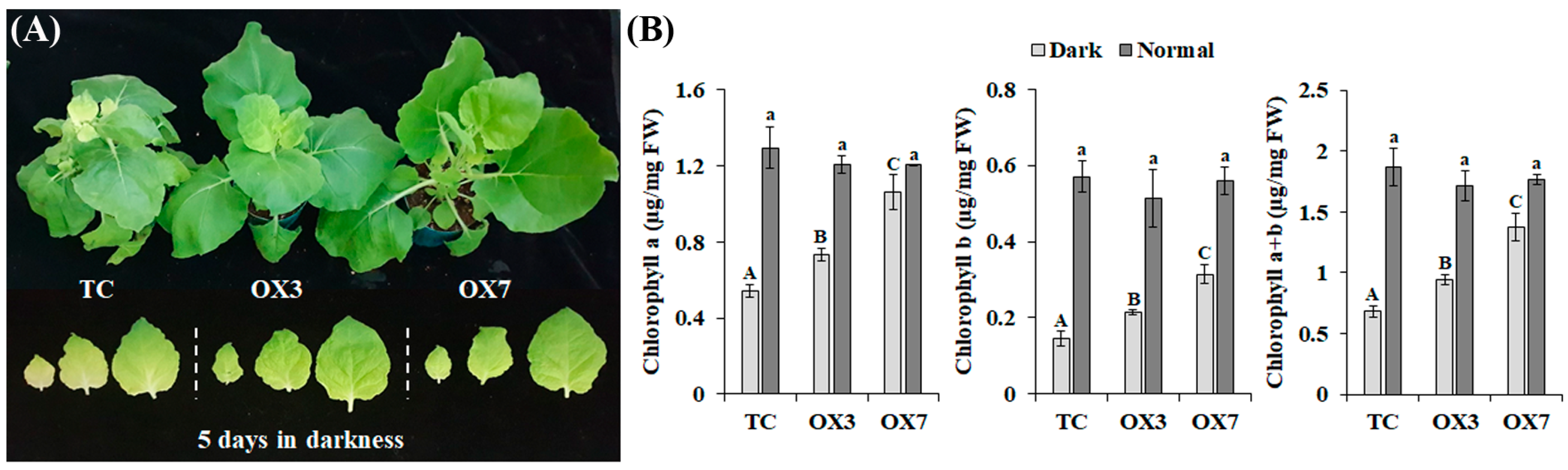 Biology 12 00517 g004