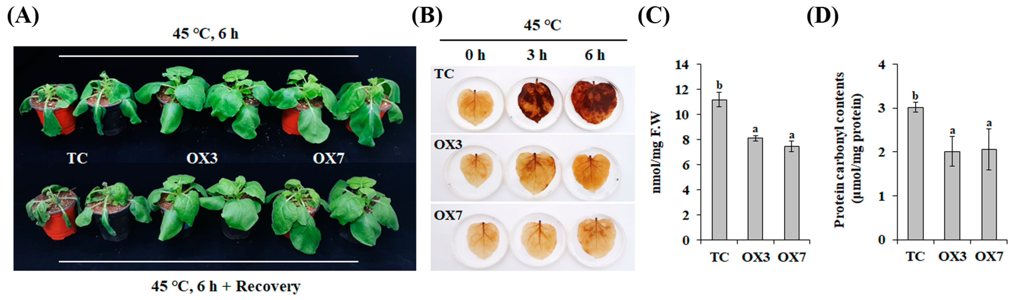 Biology 12 00517 g005