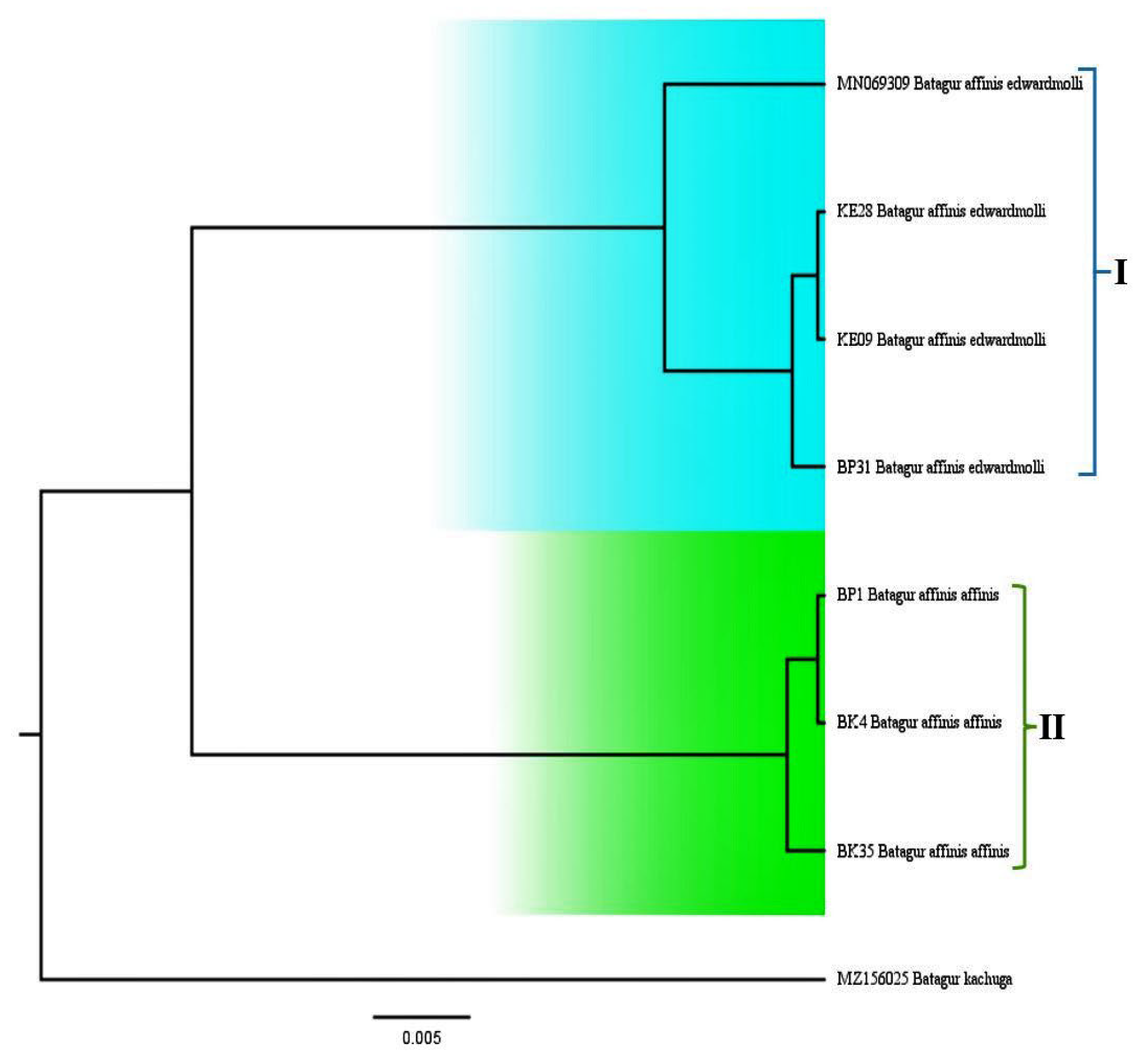 Biology 12 00520 g004