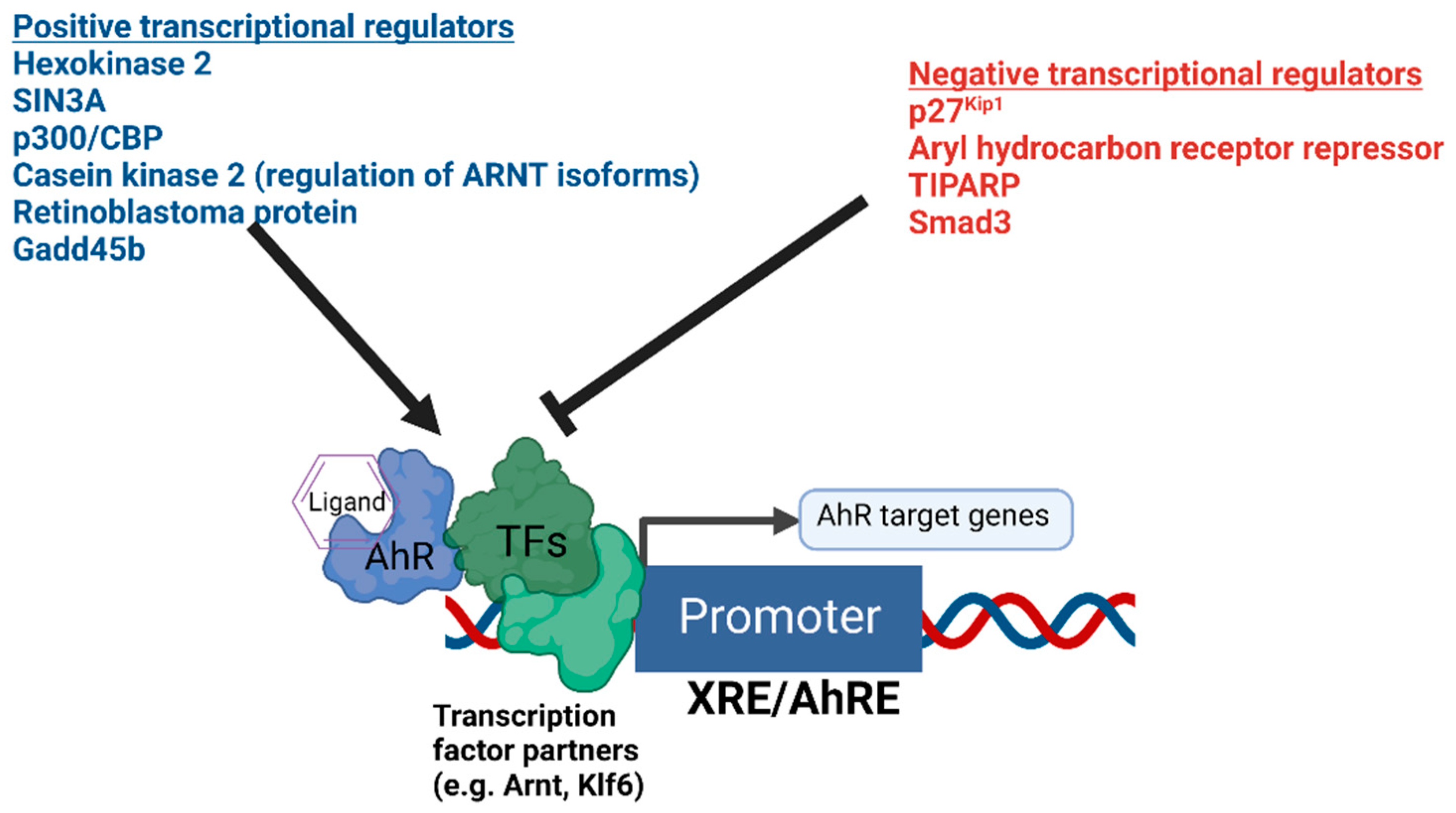 Biology 12 00526 g001