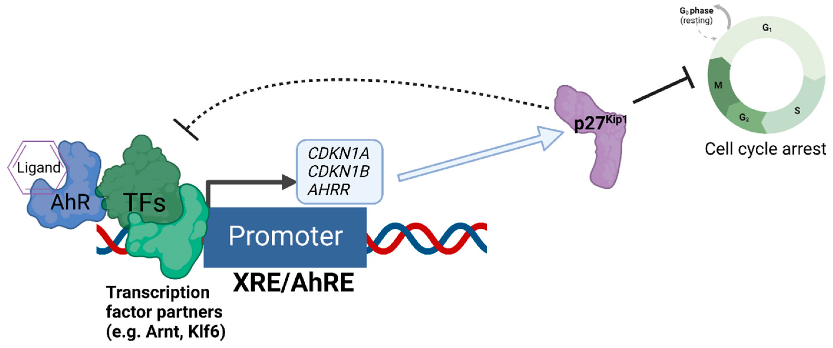 Biology 12 00526 g002