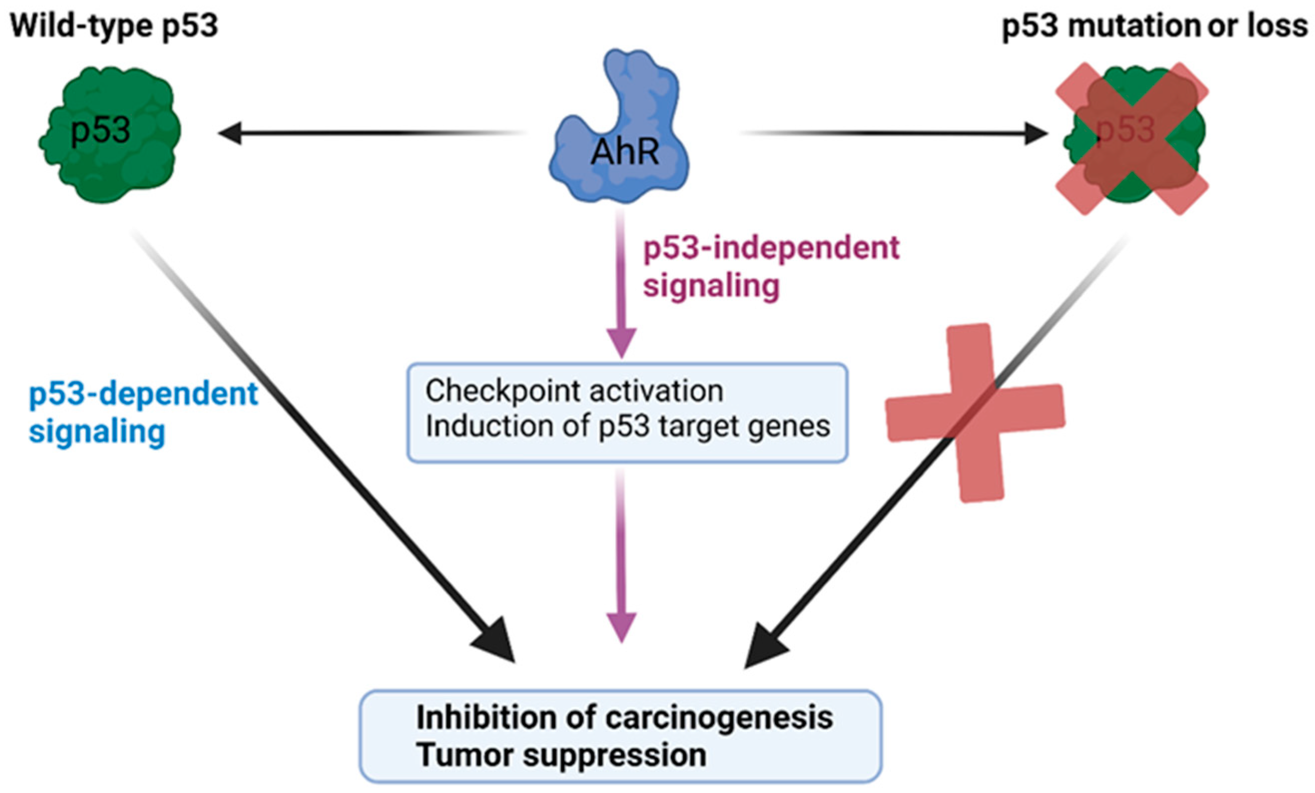 Biology 12 00526 g005