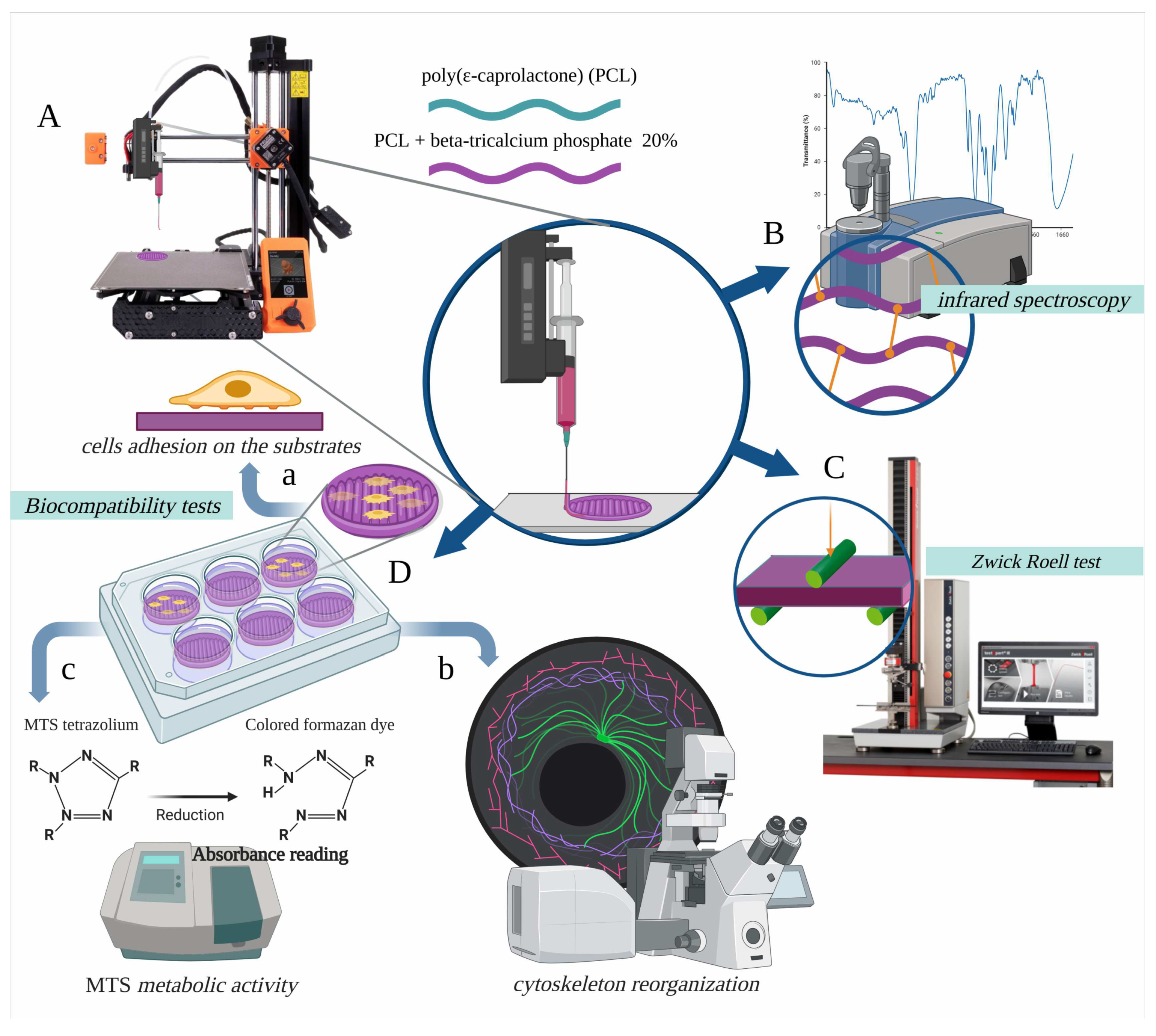 Biology 12 00536 g001