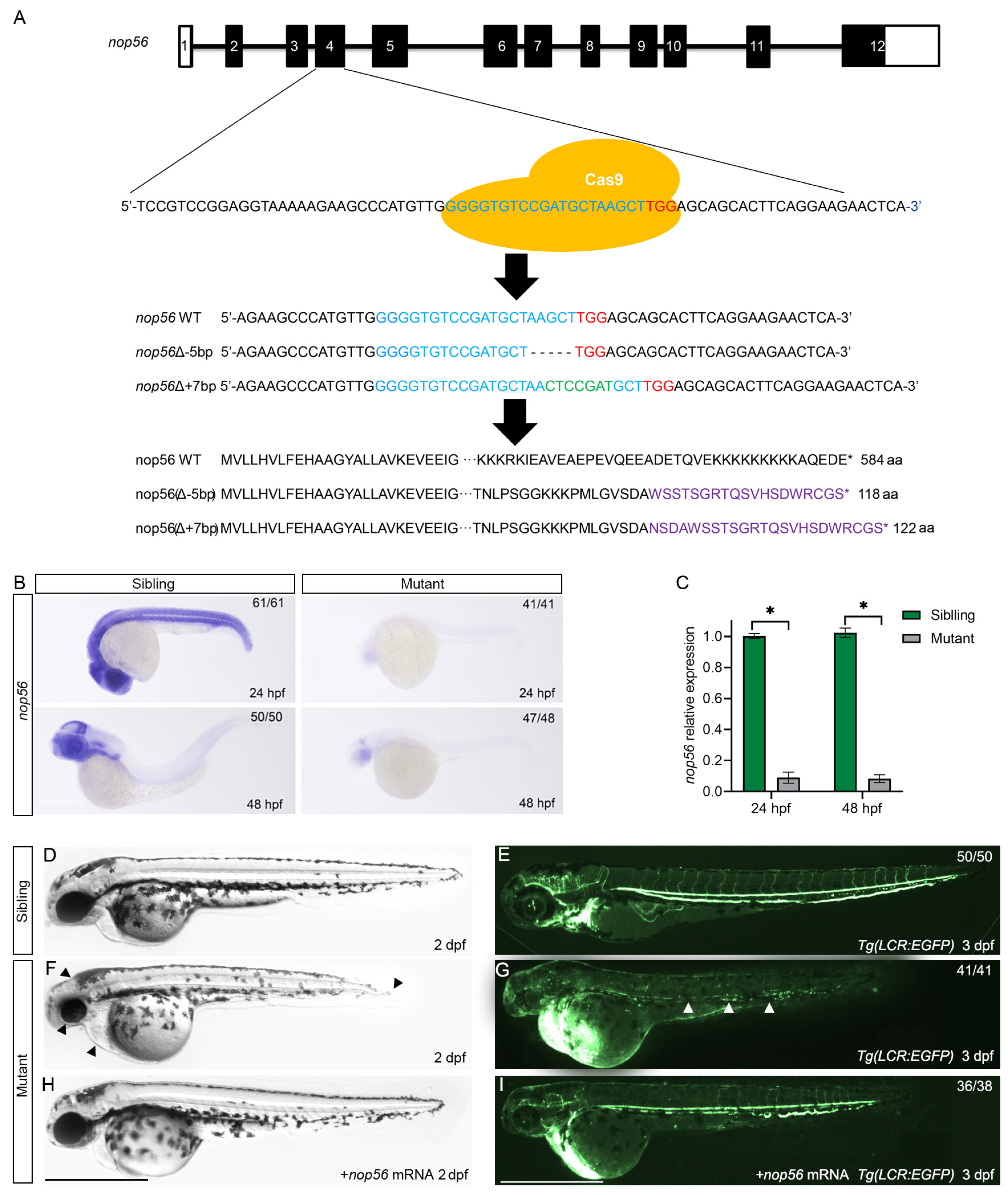Biology 12 00538 g001