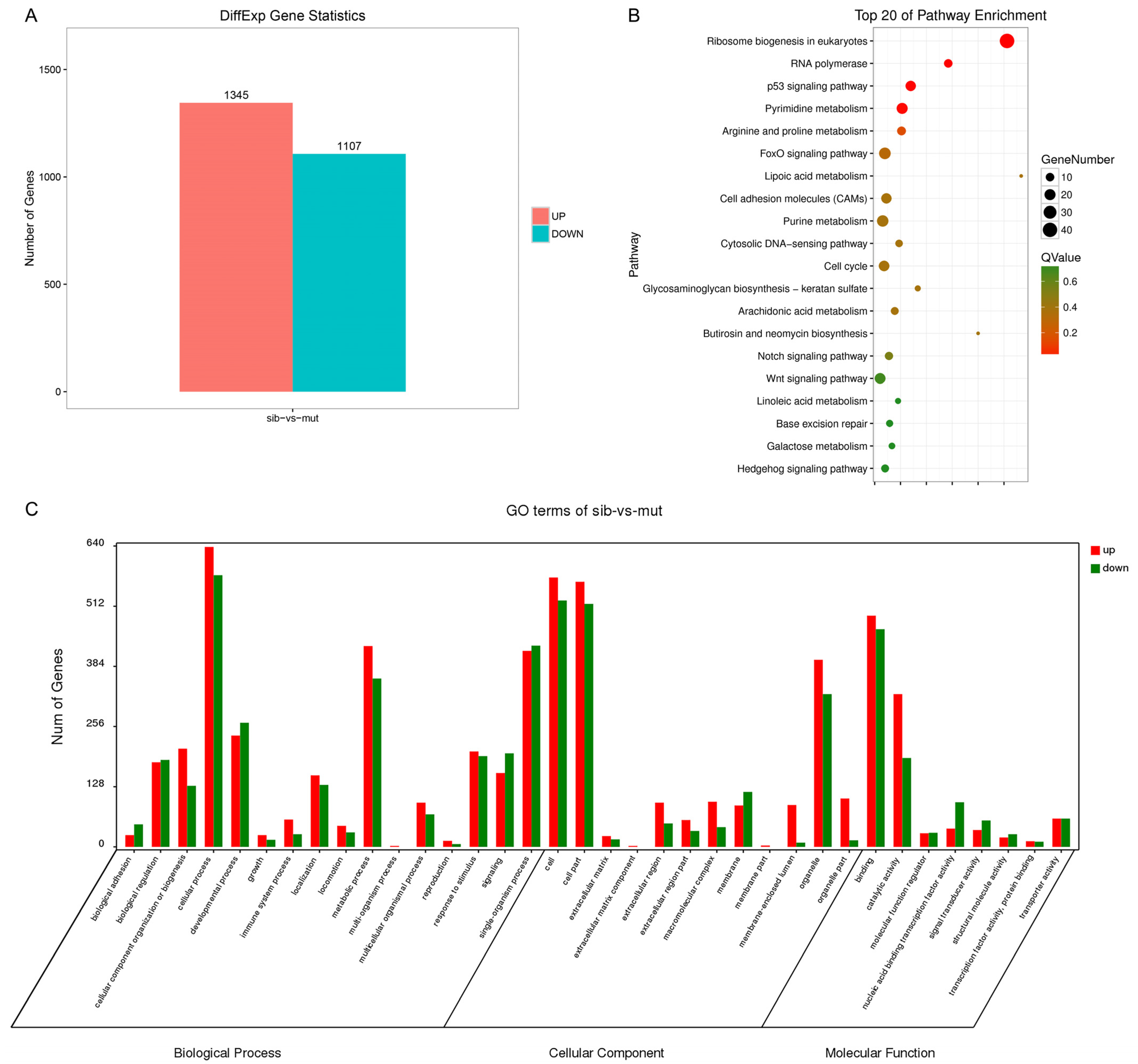 Biology 12 00538 g004