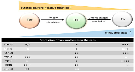Biology 12 00541 g0a1