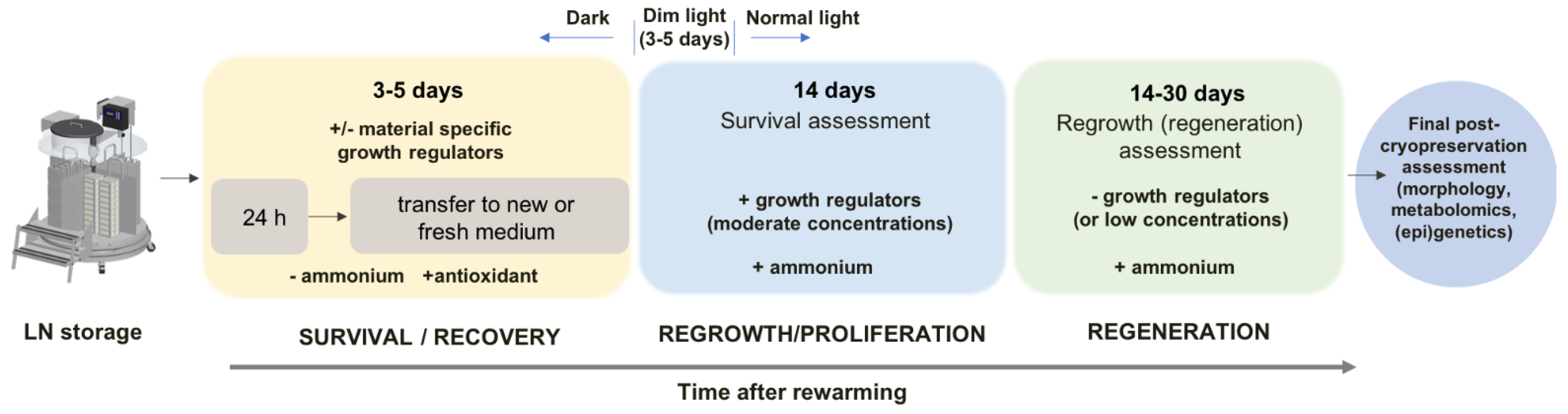Biology 12 00542 g002