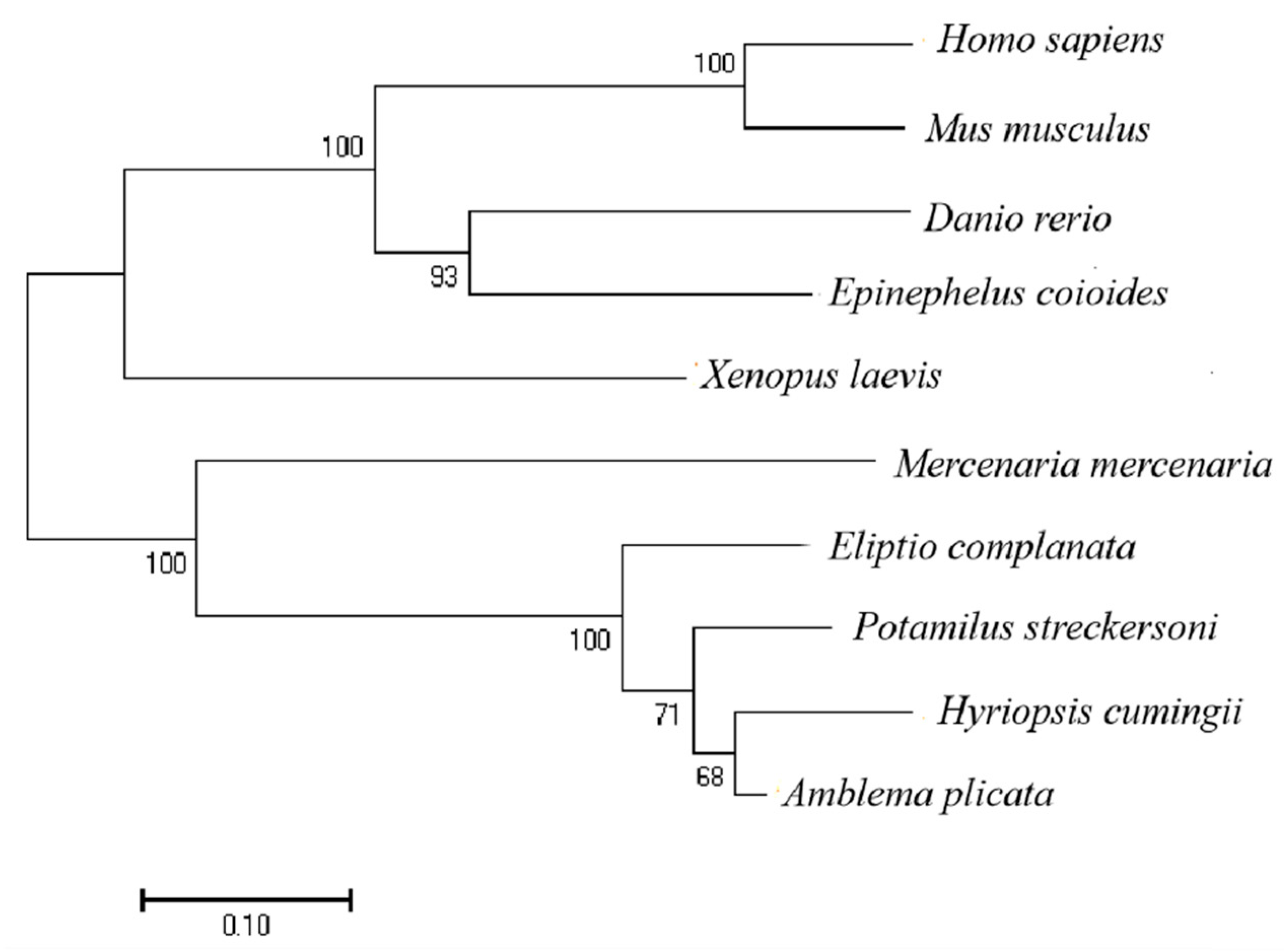 Biology 12 00548 g004