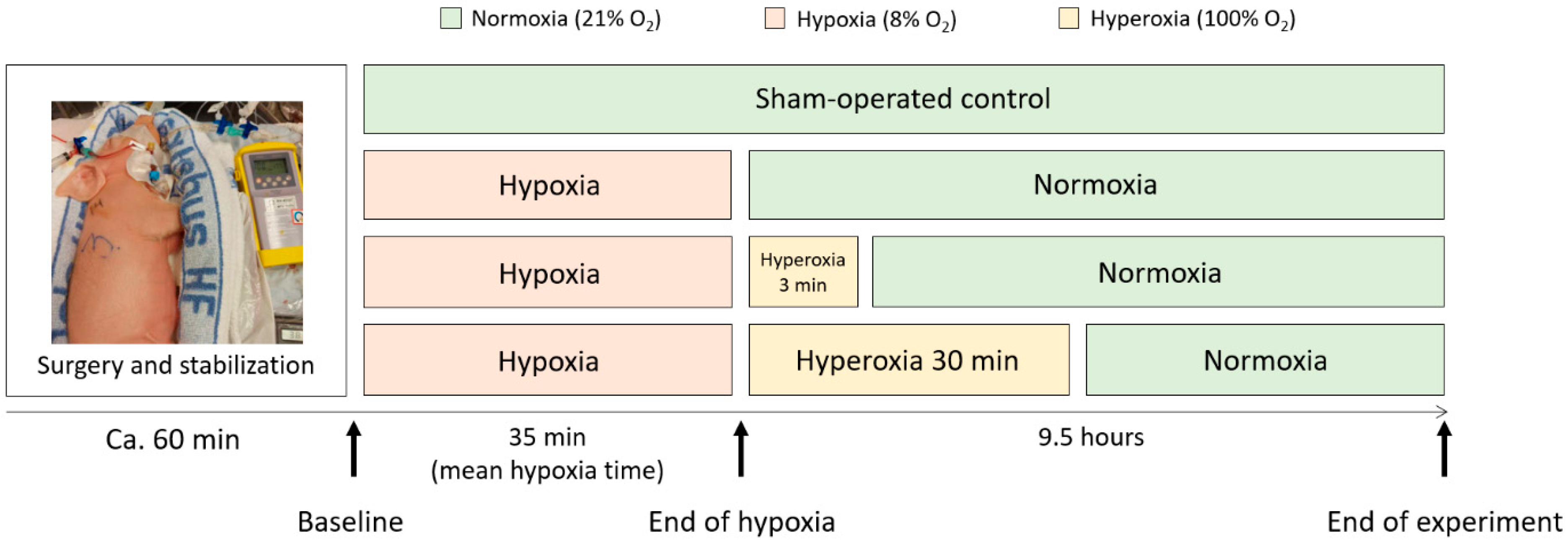 Biology 12 00549 g001