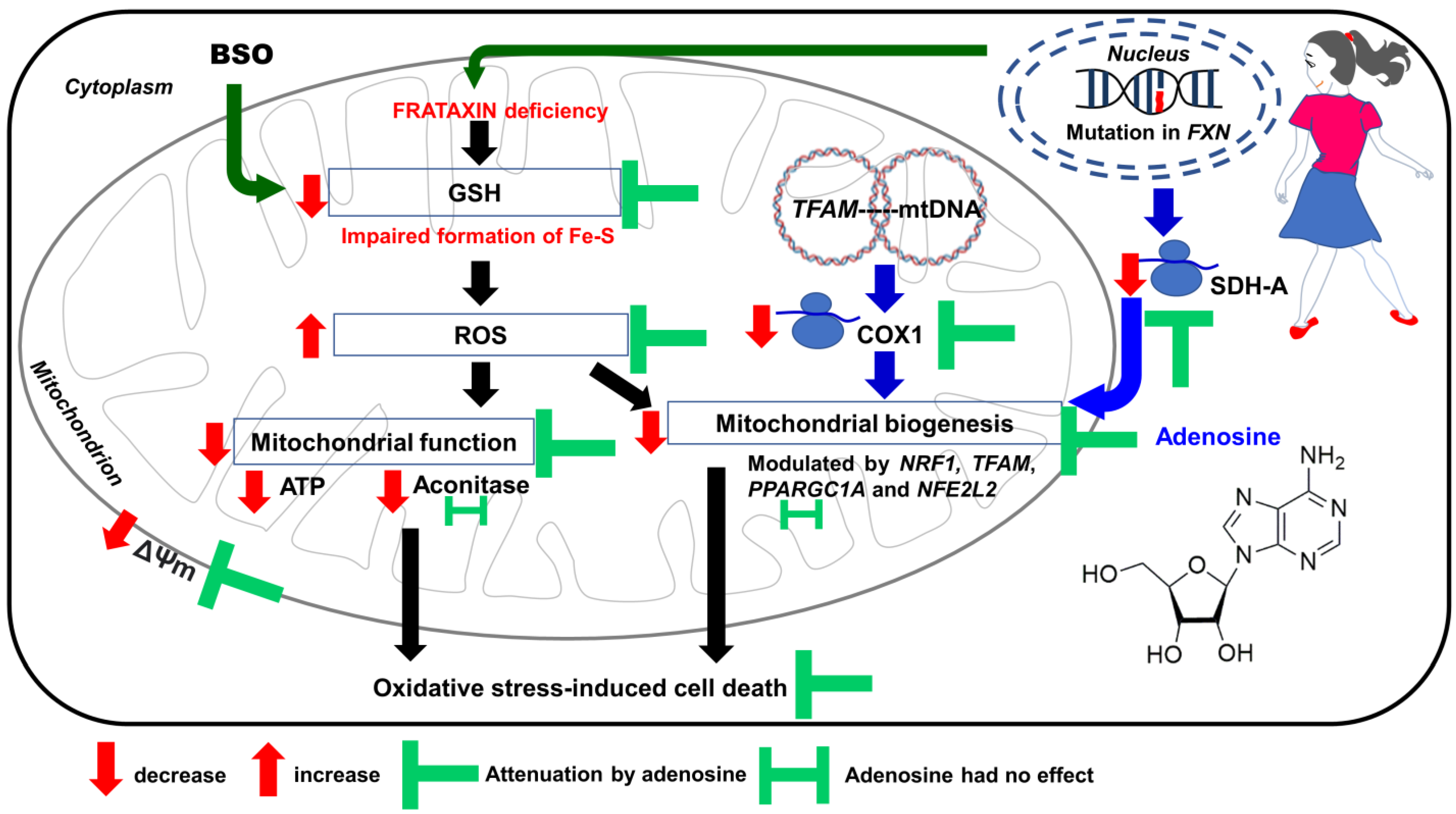 Biology 12 00559 g007