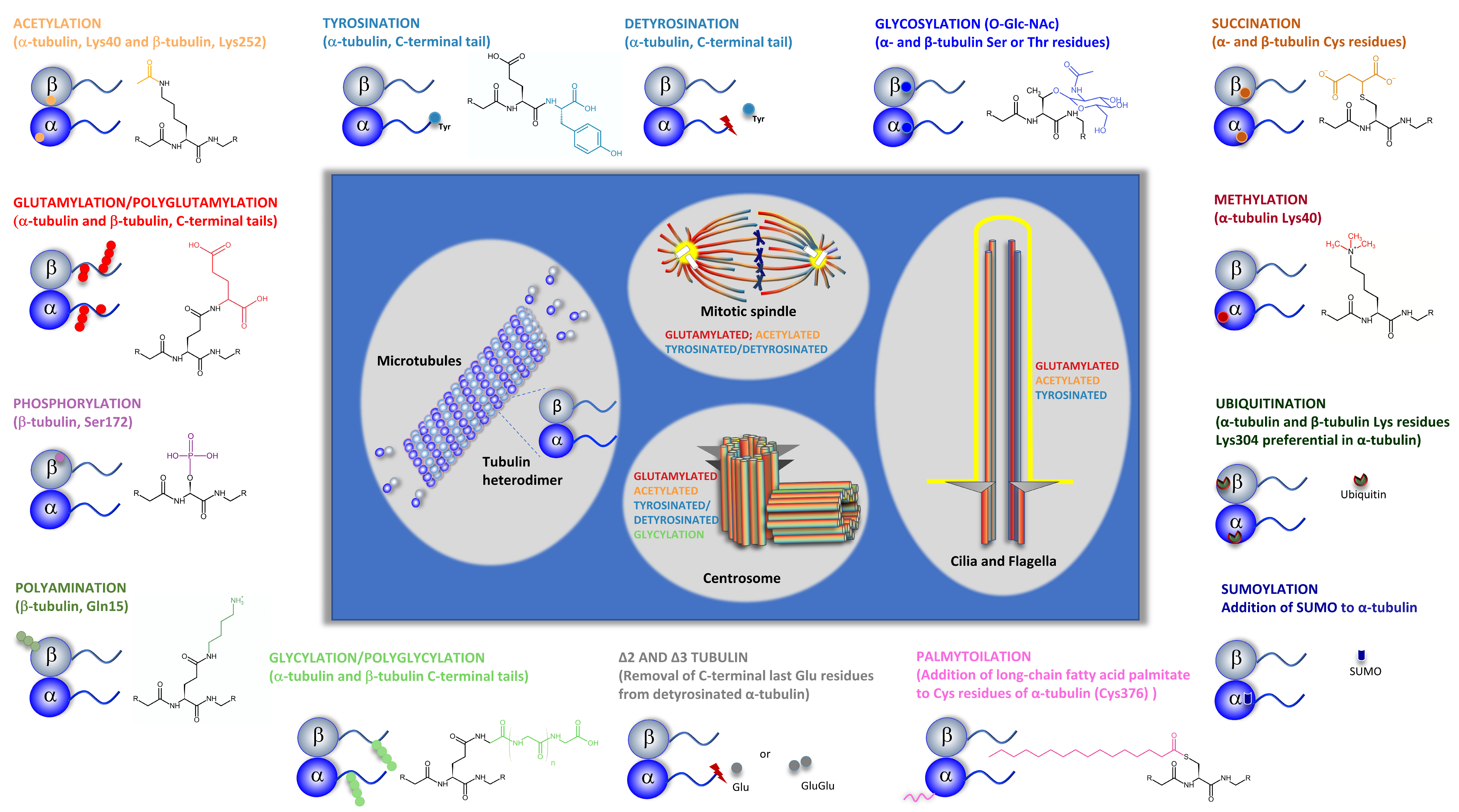 Biology 12 00561 g002
