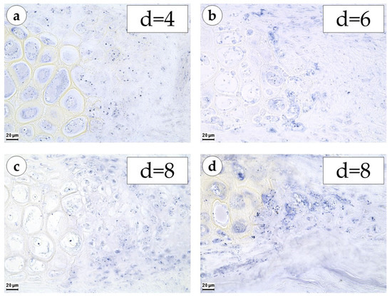 Biology 12 00565 g0a1