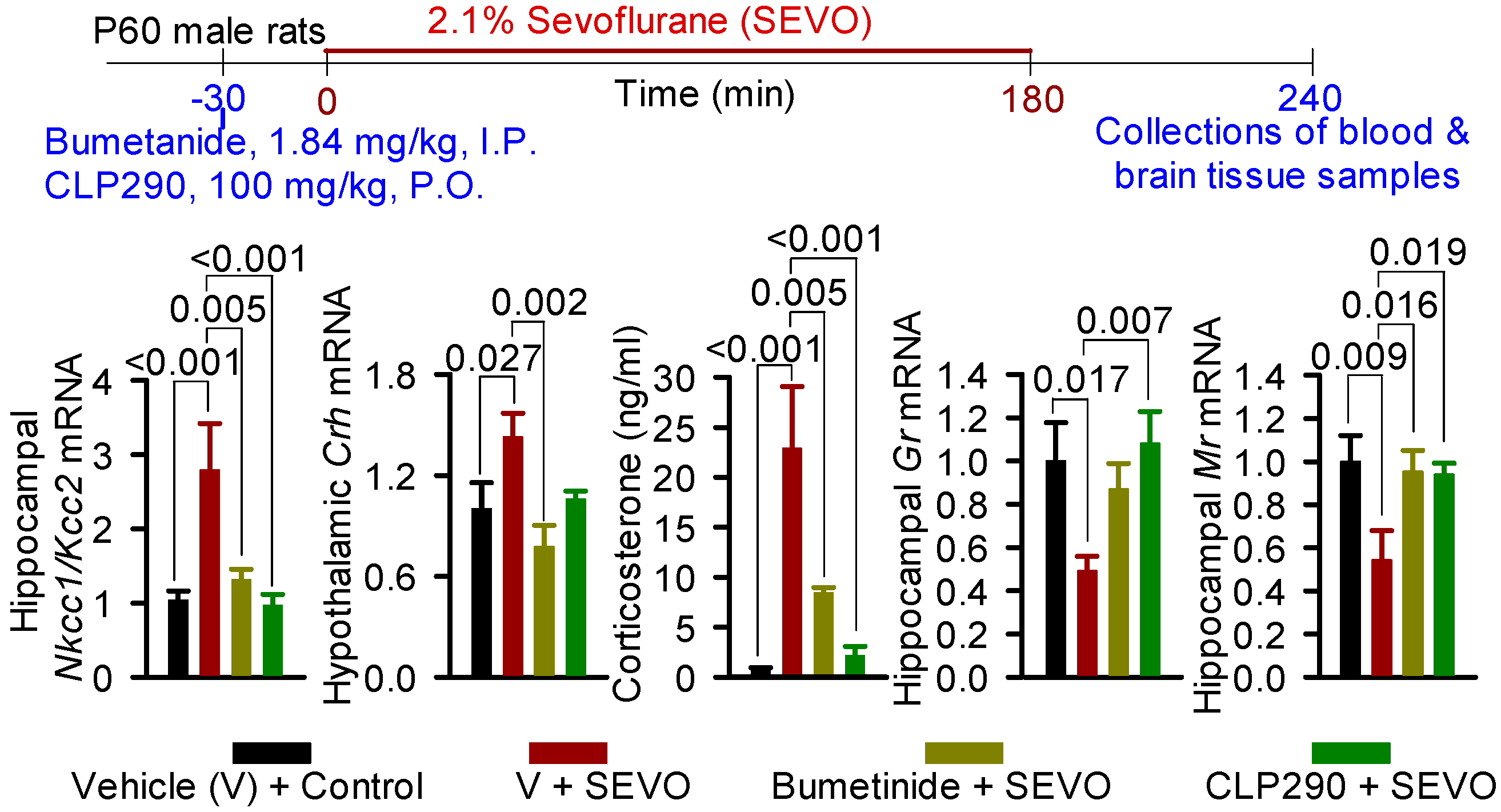 Biology 12 00567 g001