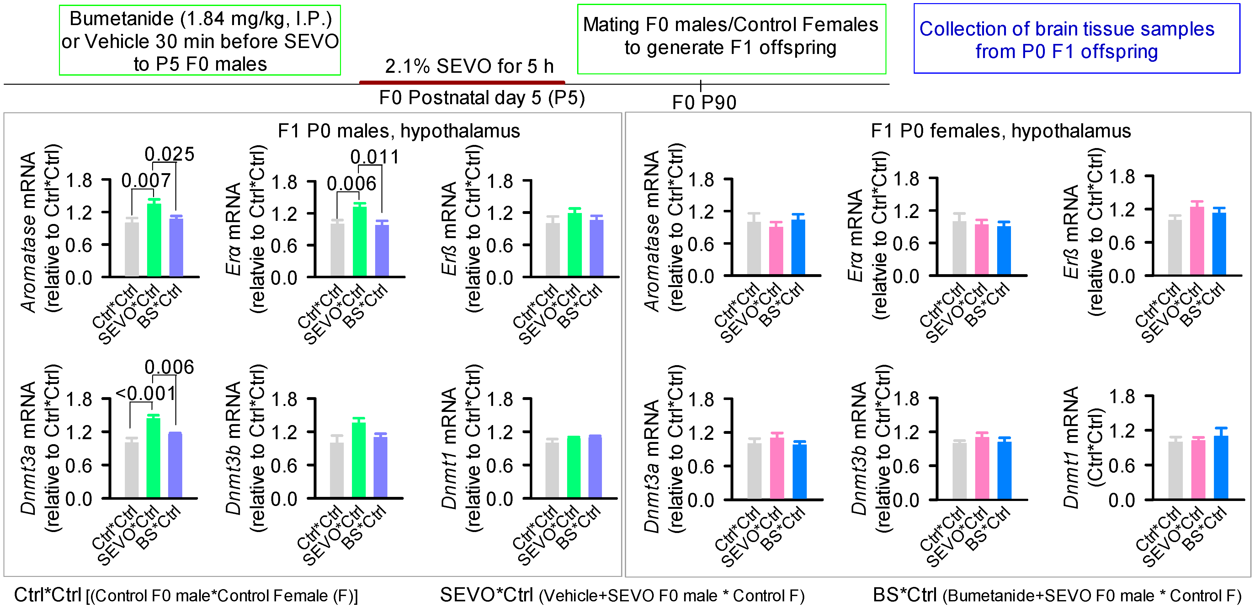 Biology 12 00567 g002