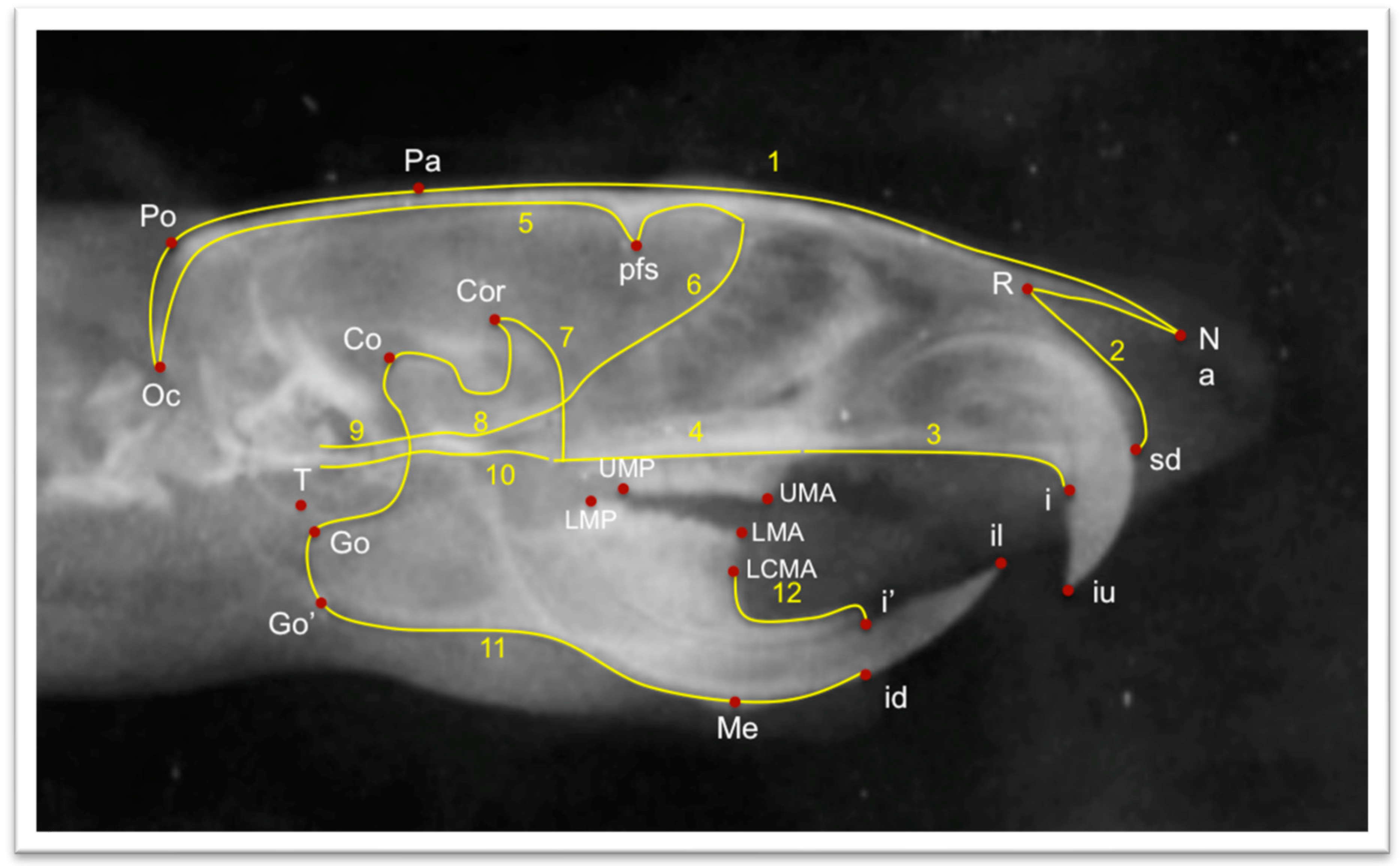Biology 12 00568 g002